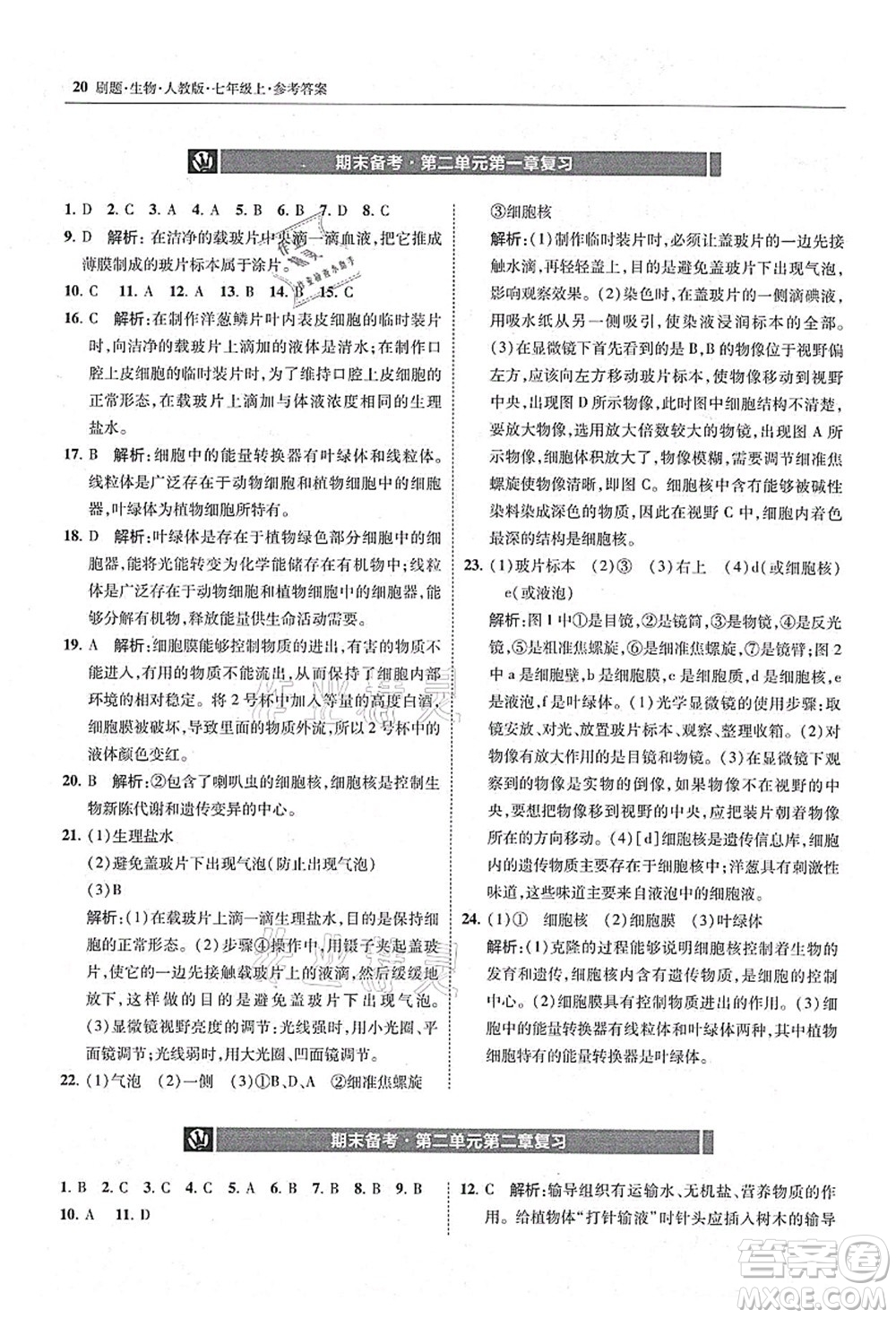 東北師范大學(xué)出版社2021北大綠卡刷題七年級(jí)生物上冊(cè)人教版答案