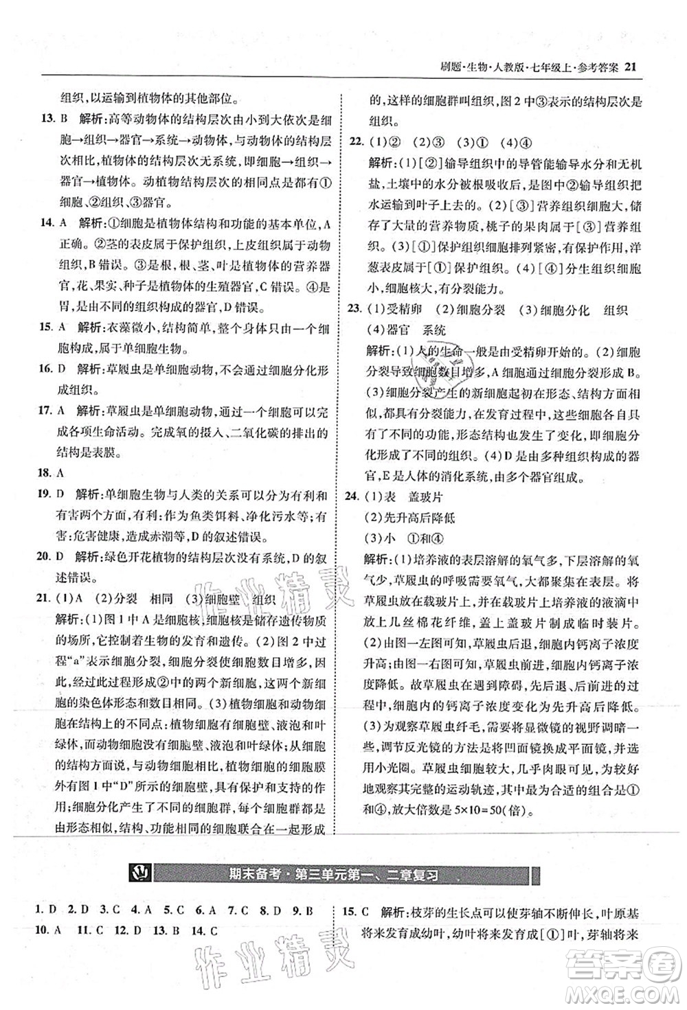 東北師范大學(xué)出版社2021北大綠卡刷題七年級(jí)生物上冊(cè)人教版答案