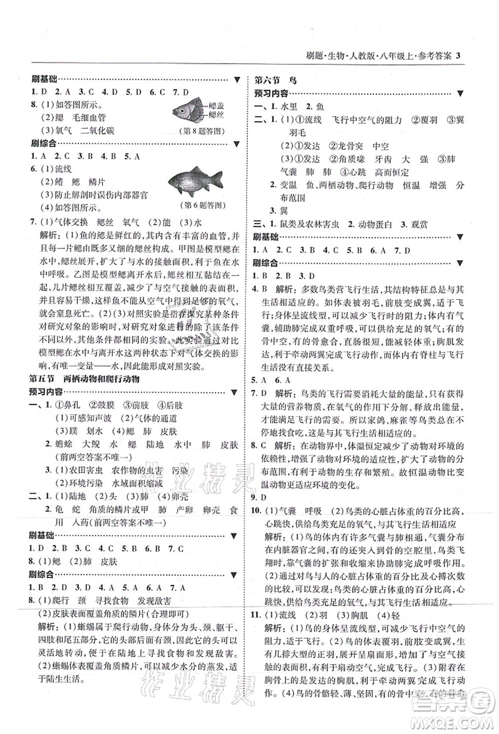 東北師范大學(xué)出版社2021北大綠卡刷題八年級(jí)生物上冊人教版答案