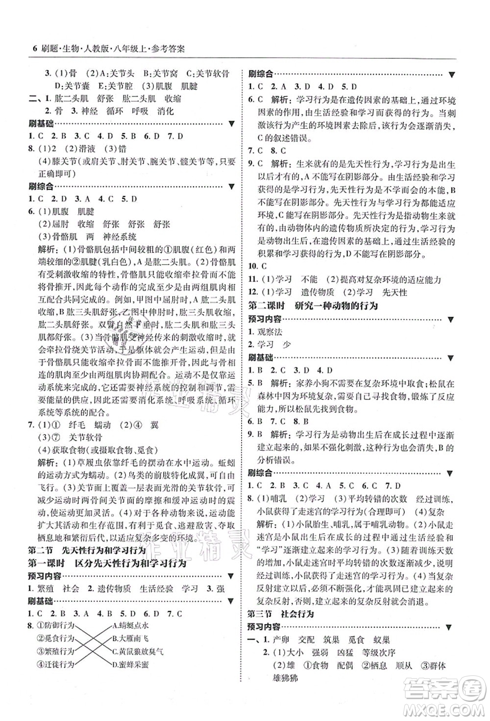 東北師范大學(xué)出版社2021北大綠卡刷題八年級(jí)生物上冊人教版答案