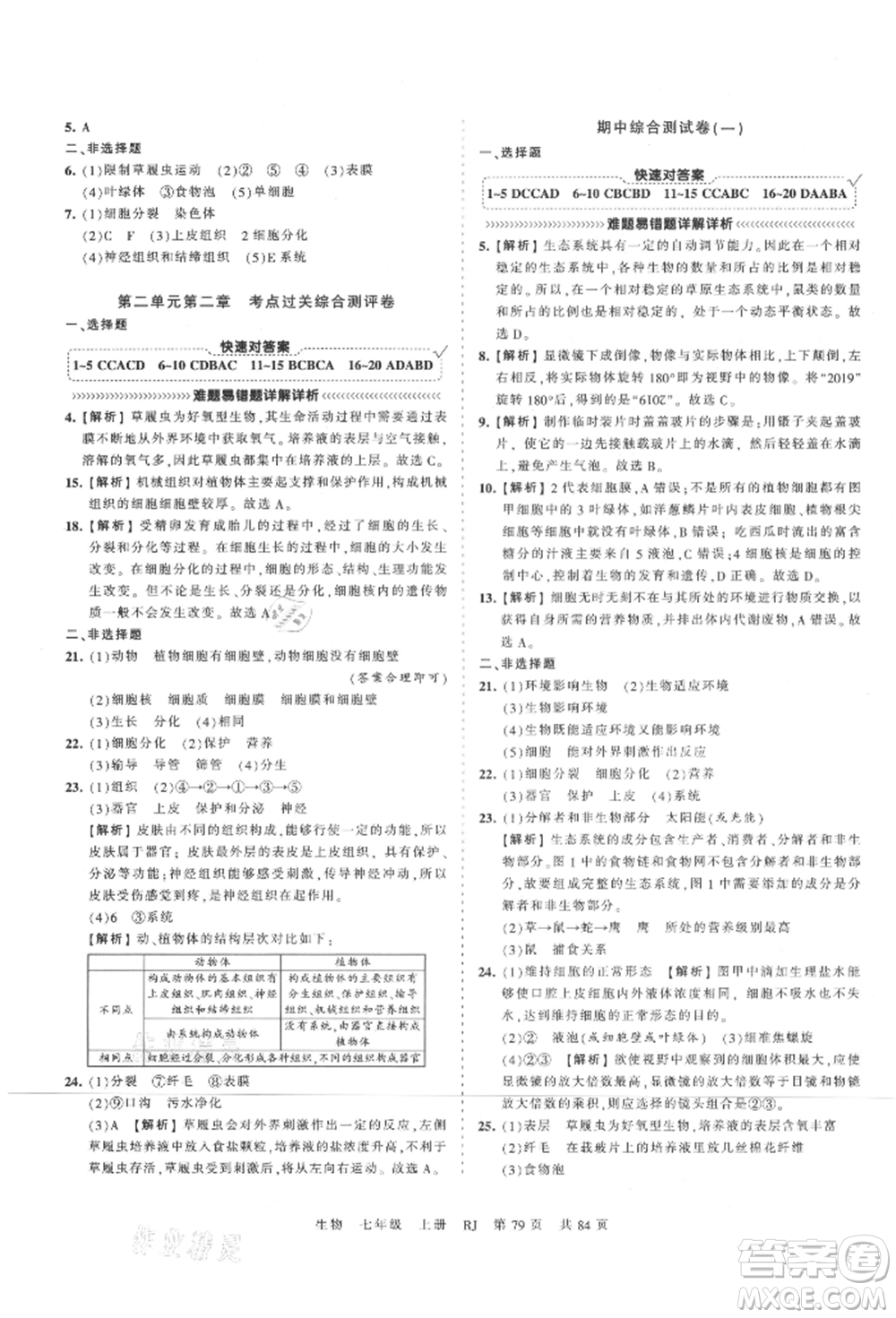 江西人民出版社2021王朝霞考點(diǎn)梳理時(shí)習(xí)卷七年級(jí)上冊(cè)生物人教版參考答案