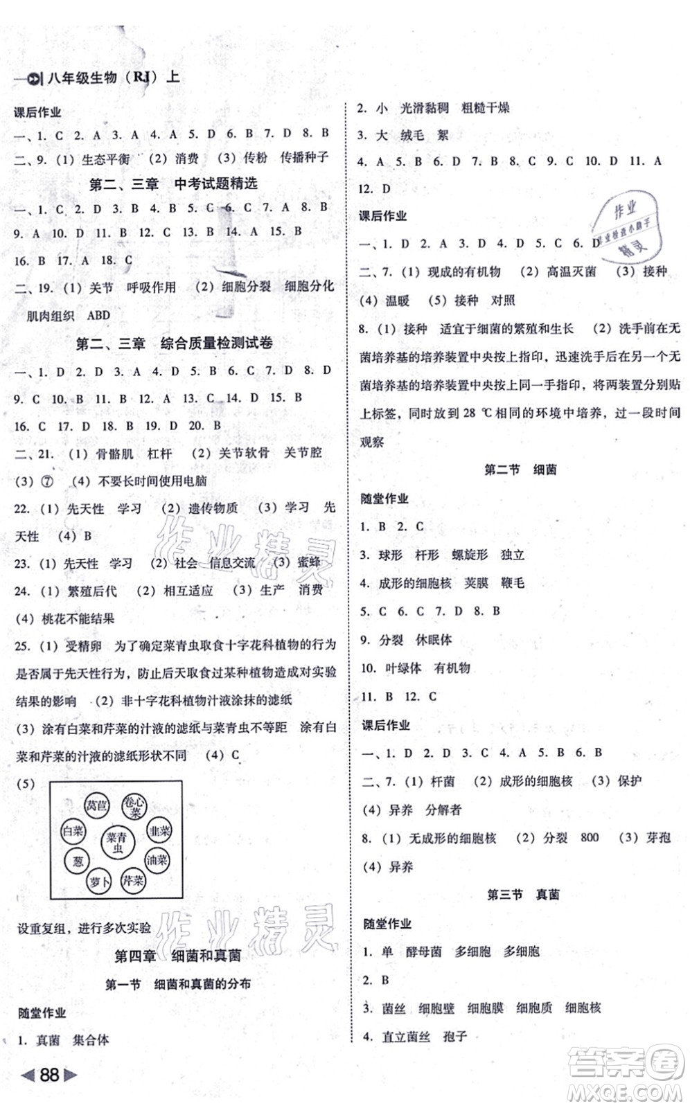 吉林教育出版社2021勝券在握打好基礎(chǔ)作業(yè)本八年級生物上冊RJ人教版答案