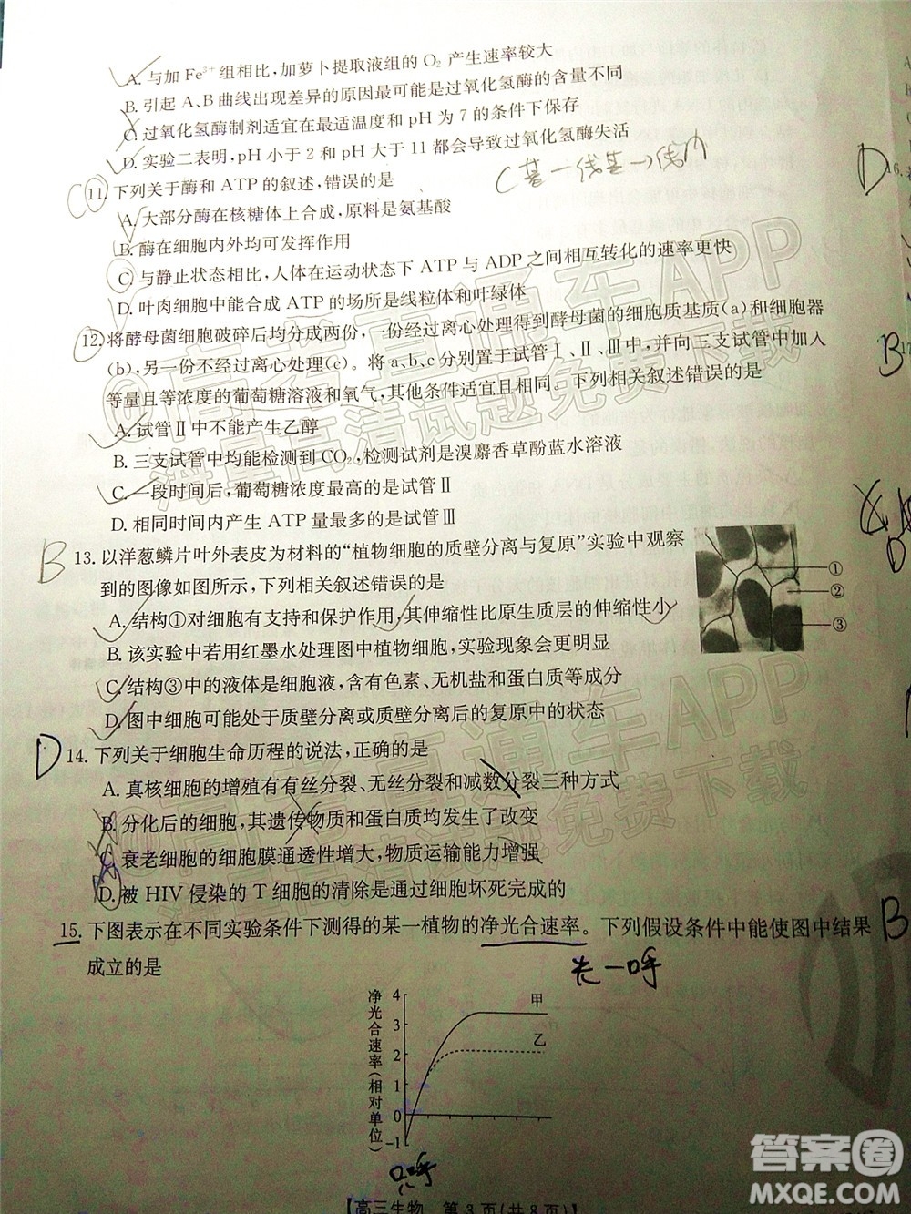 2022屆內蒙古金太陽高三10月聯(lián)考生物試題及答案