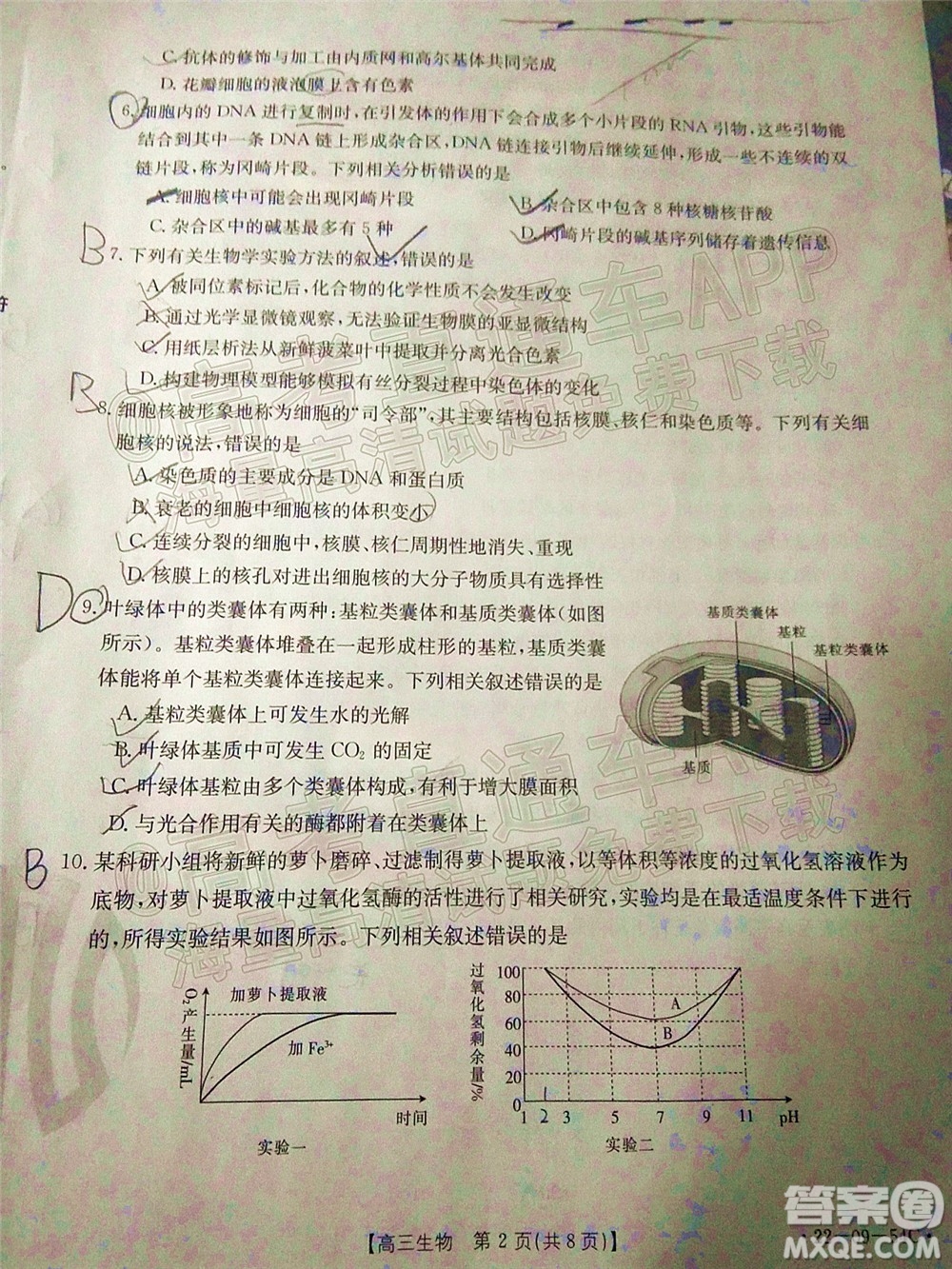 2022屆內蒙古金太陽高三10月聯(lián)考生物試題及答案