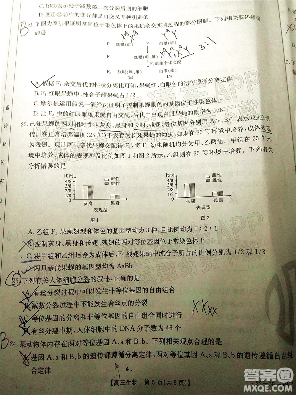 2022屆內蒙古金太陽高三10月聯(lián)考生物試題及答案