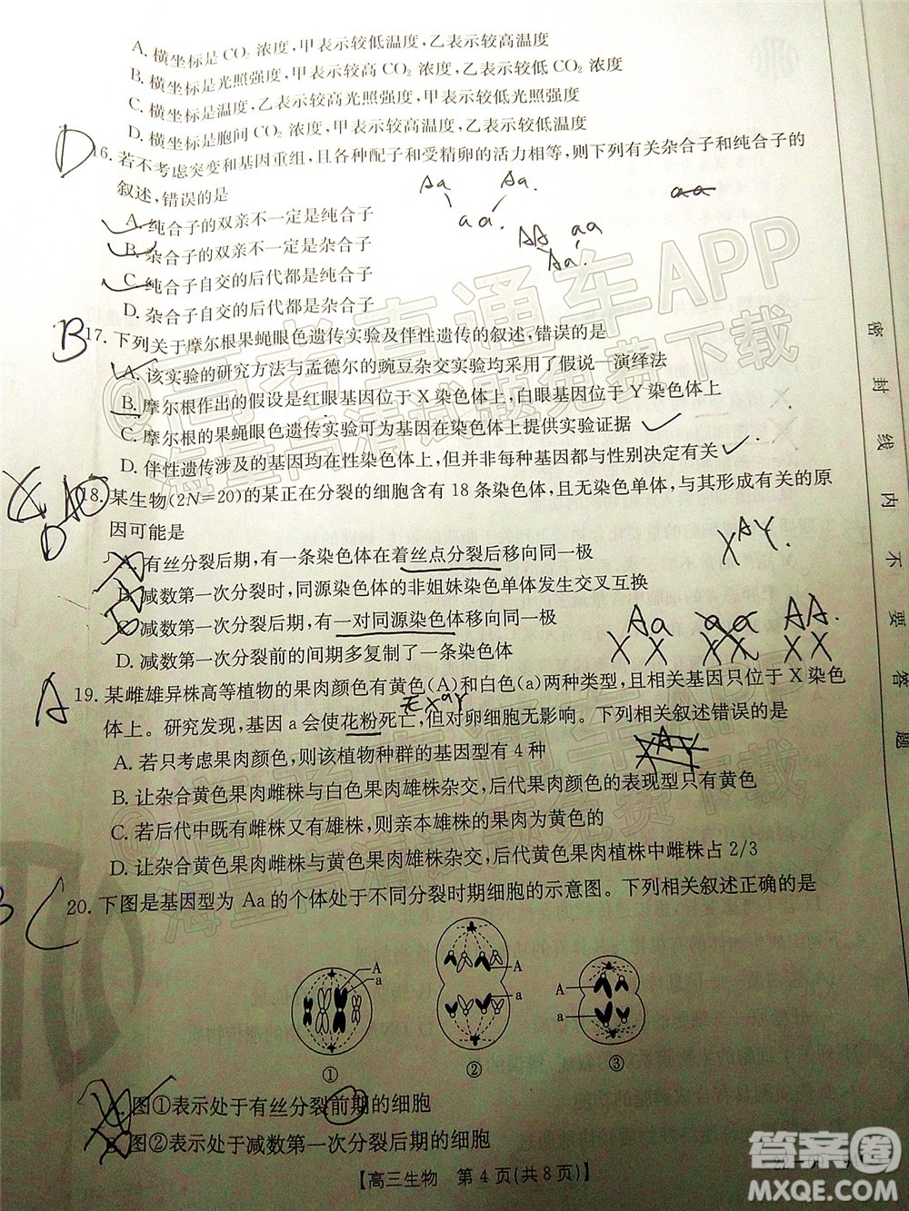 2022屆內蒙古金太陽高三10月聯(lián)考生物試題及答案