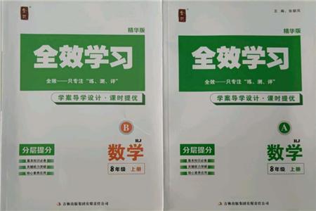 吉林出版集團有限責任公司2021全效學習課時提優(yōu)八年級上冊數(shù)學人教版精華版參考答案