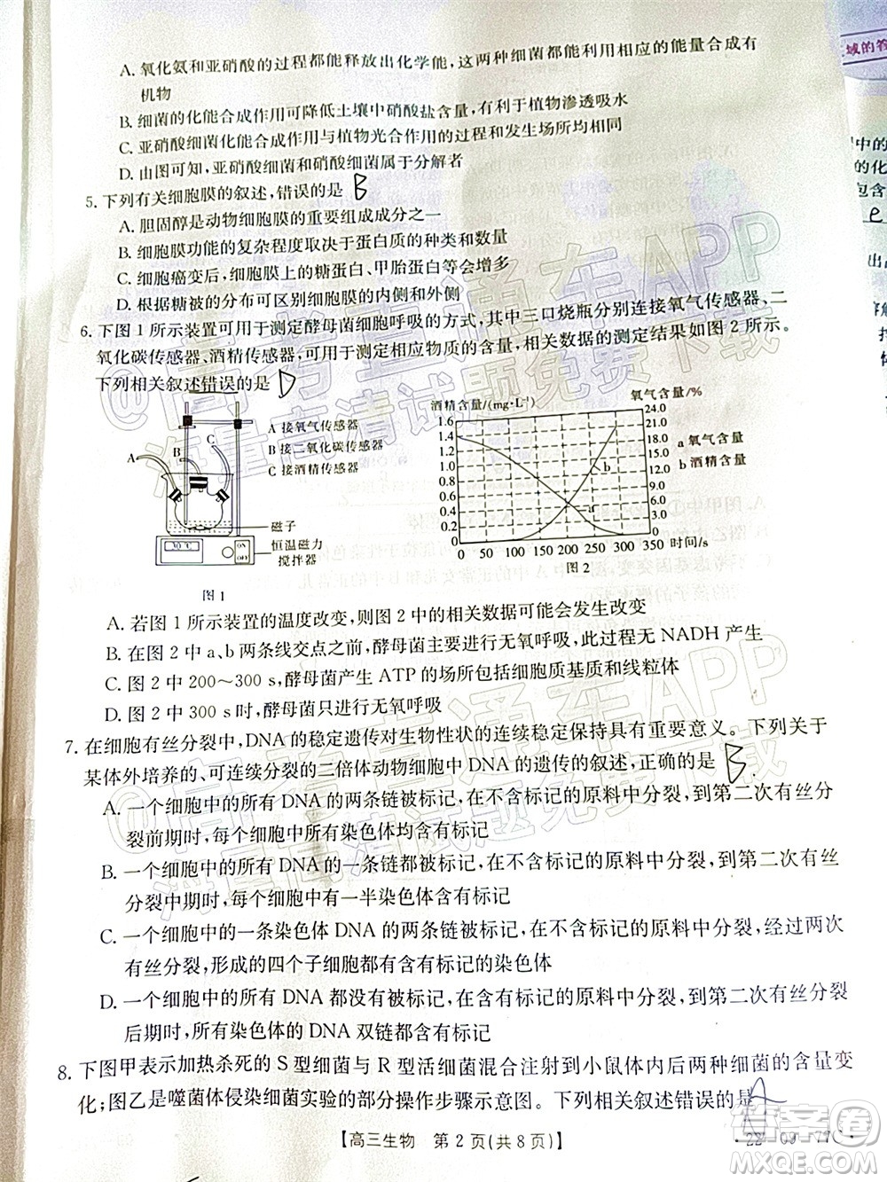 2022屆湖南金太陽高三10月聯(lián)考生物試卷及答案