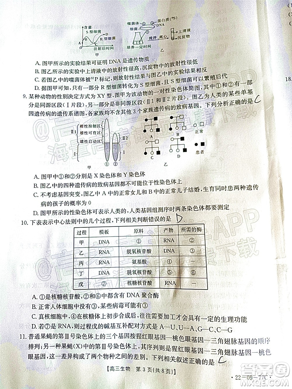 2022屆湖南金太陽高三10月聯(lián)考生物試卷及答案