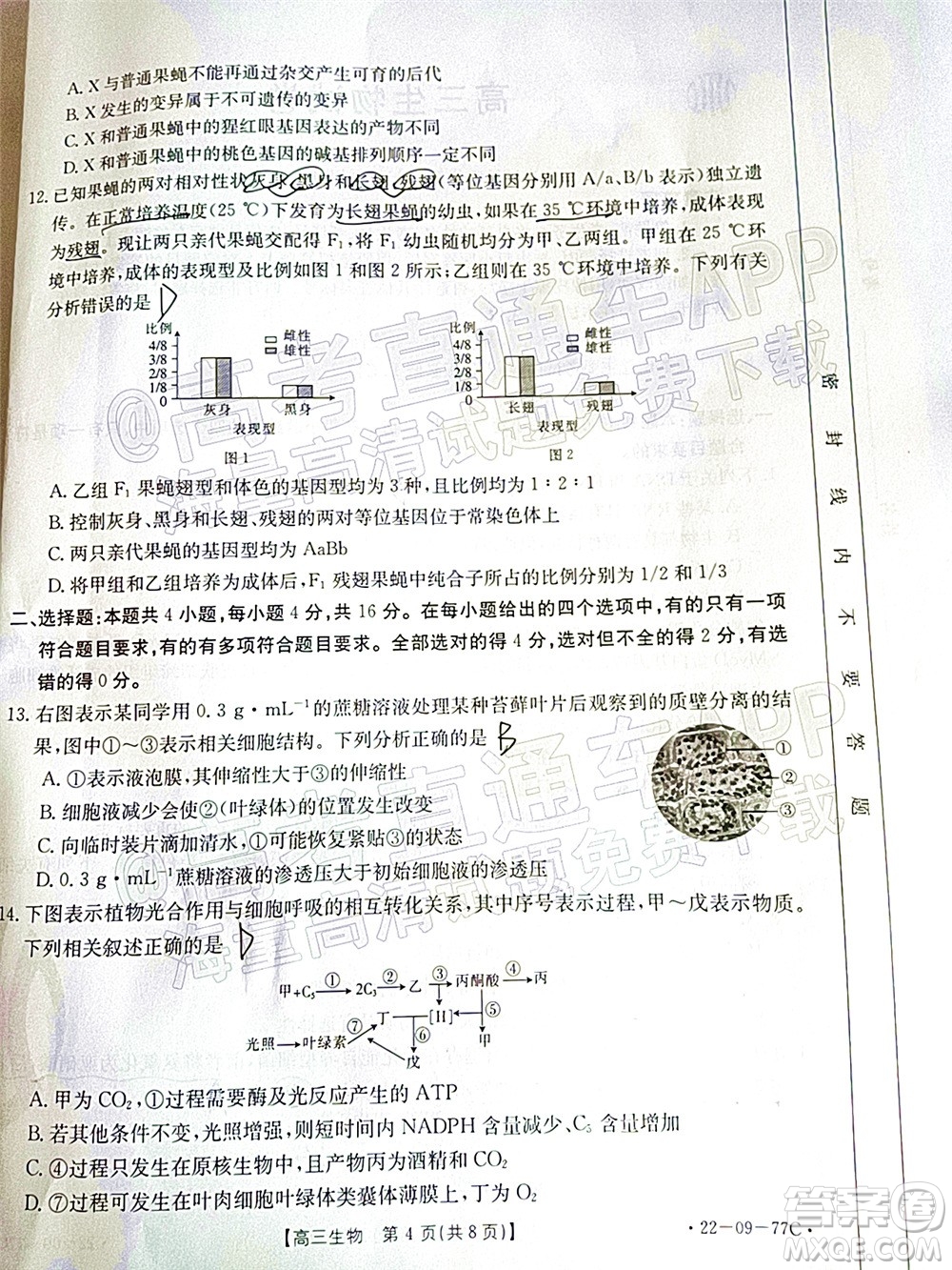 2022屆湖南金太陽高三10月聯(lián)考生物試卷及答案