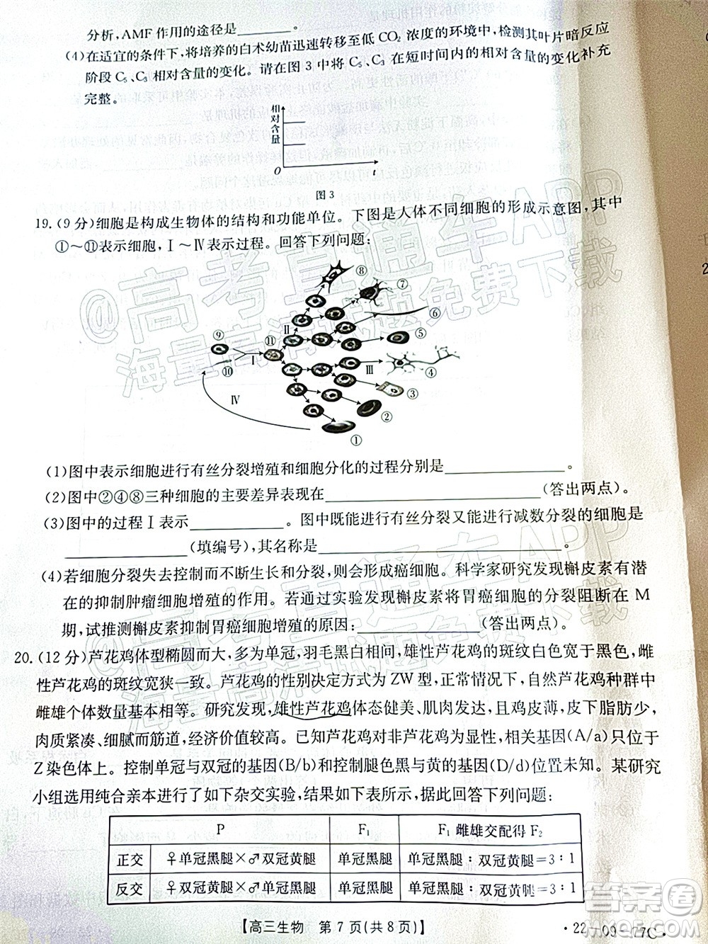 2022屆湖南金太陽高三10月聯(lián)考生物試卷及答案