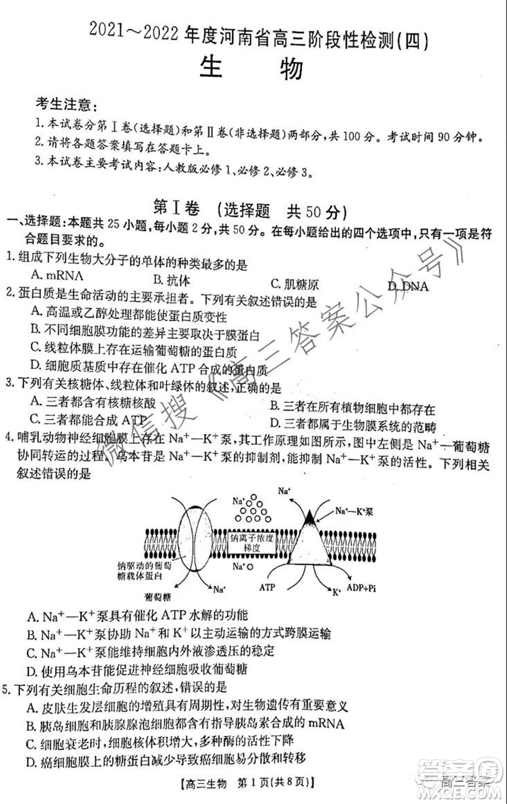 2021-2022年度河南省高三階段性檢測四生物試題及答案