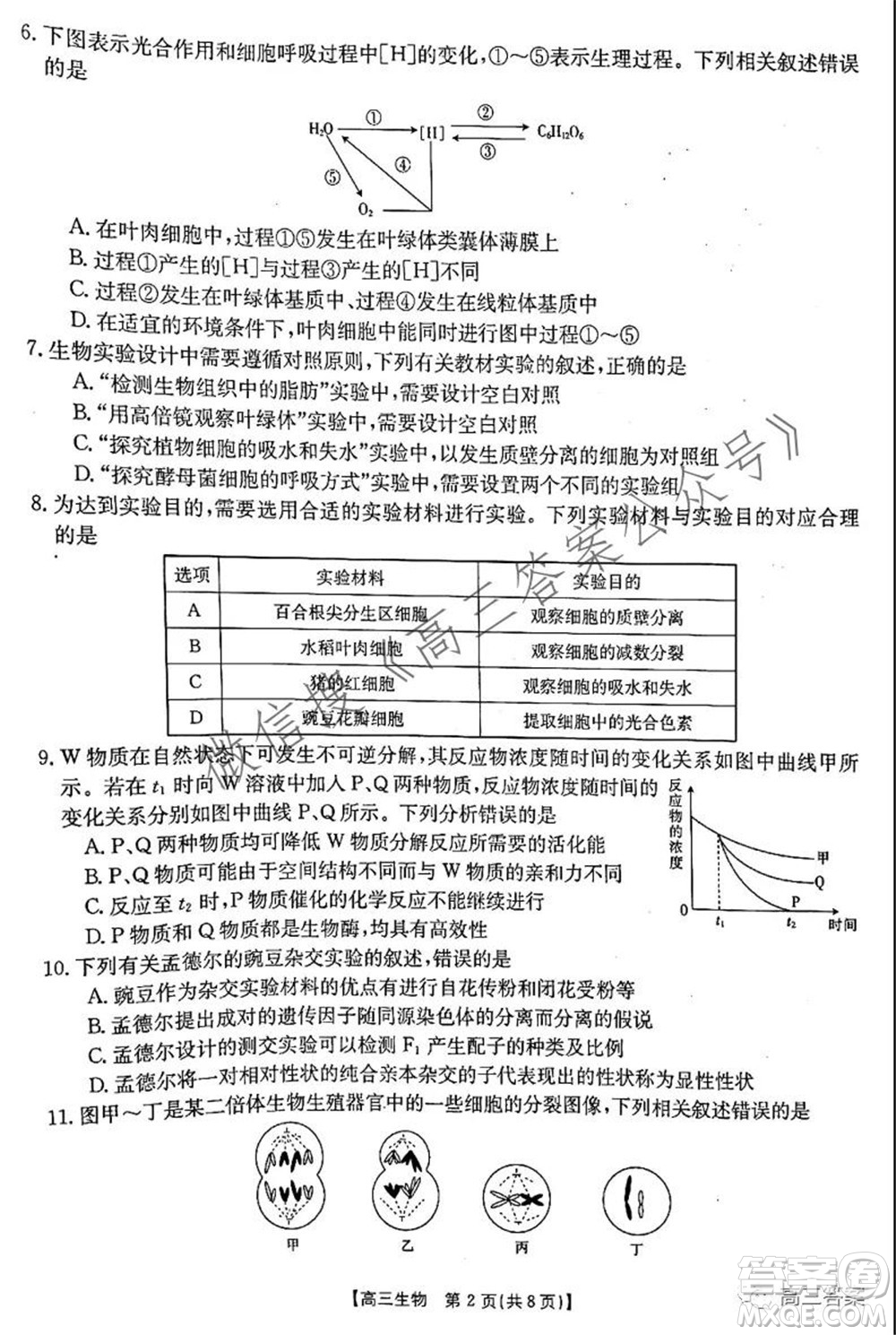 2021-2022年度河南省高三階段性檢測四生物試題及答案