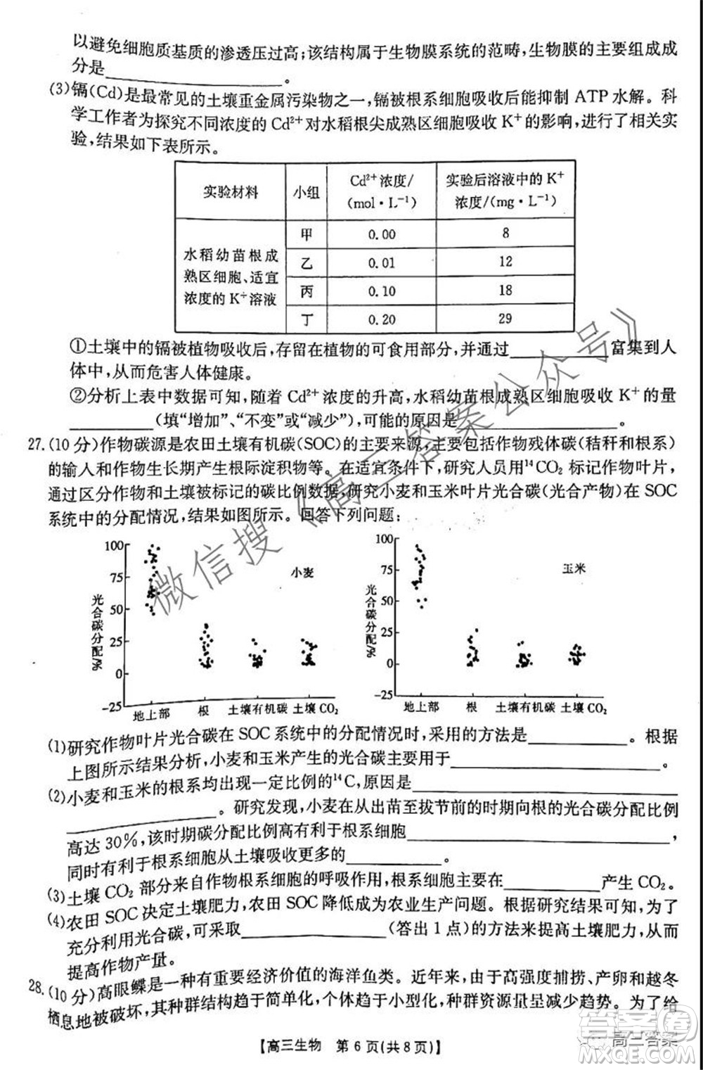 2021-2022年度河南省高三階段性檢測四生物試題及答案