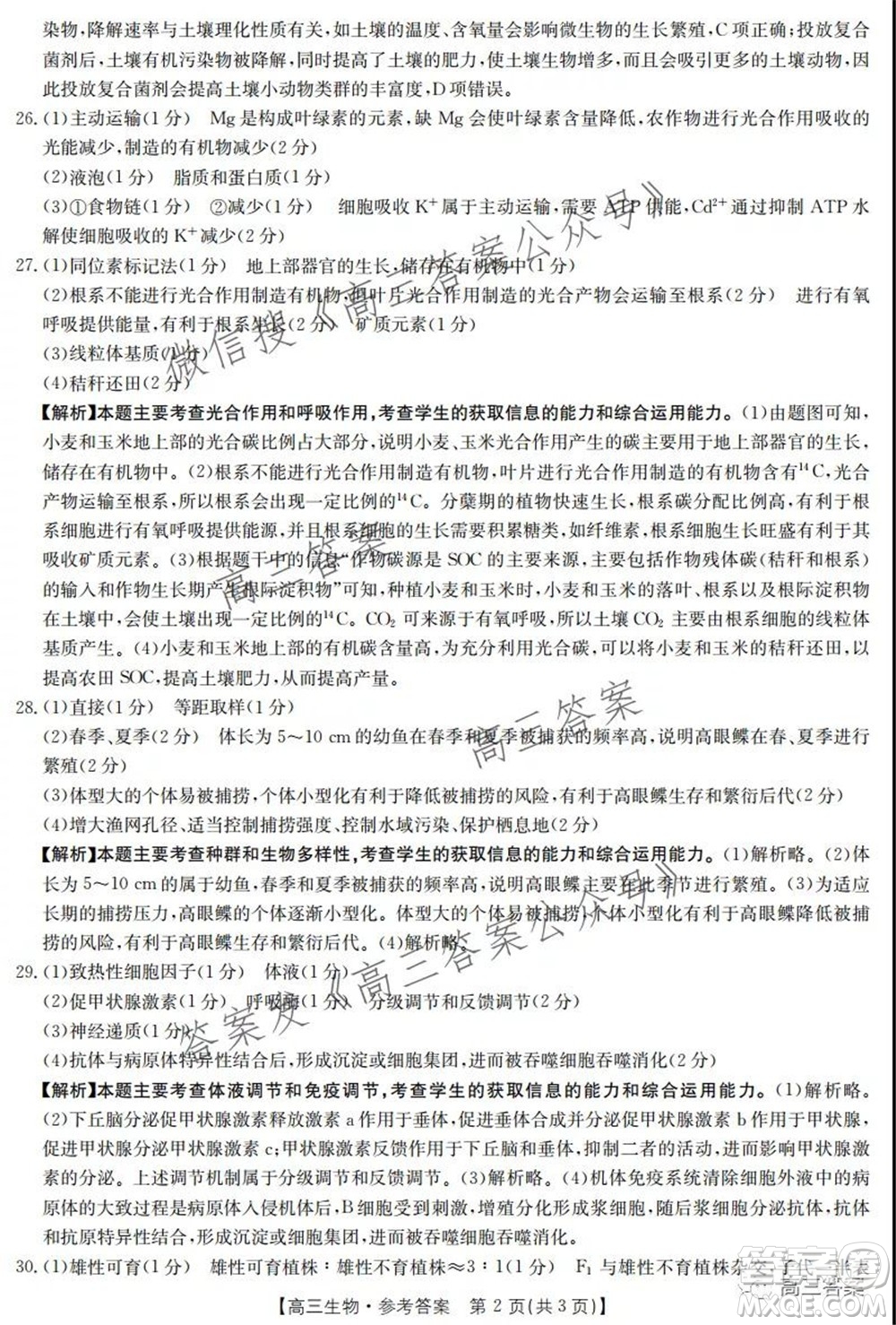 2021-2022年度河南省高三階段性檢測四生物試題及答案