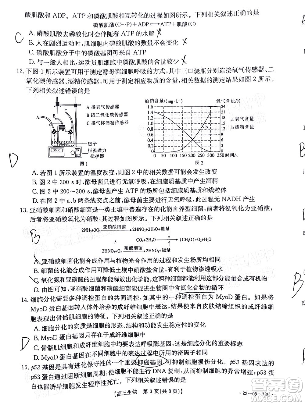 2022屆江西金太陽高三10月聯(lián)考生物試卷及答案