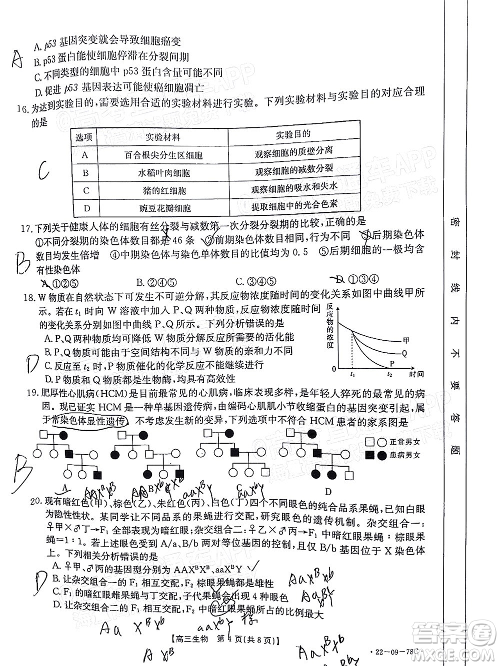 2022屆江西金太陽高三10月聯(lián)考生物試卷及答案