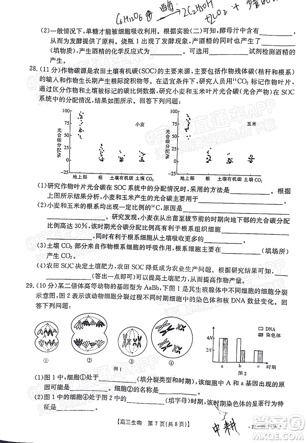 2022屆江西金太陽高三10月聯(lián)考生物試卷及答案