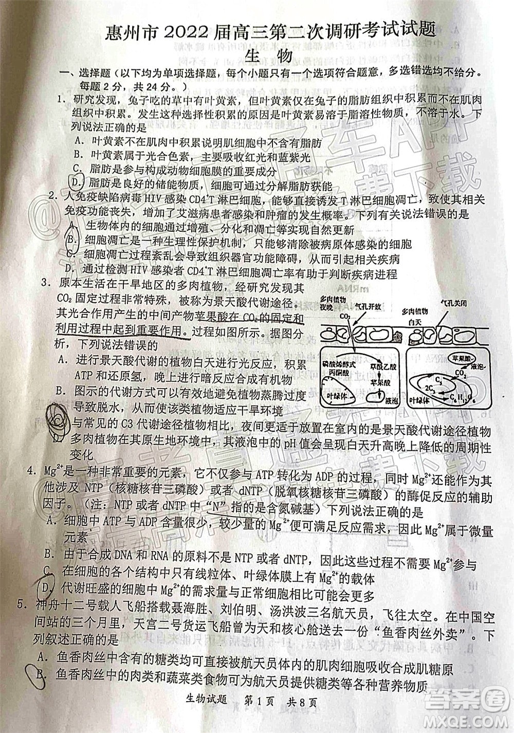 惠州市2022屆高三第二次調(diào)研考試生物試題及答案