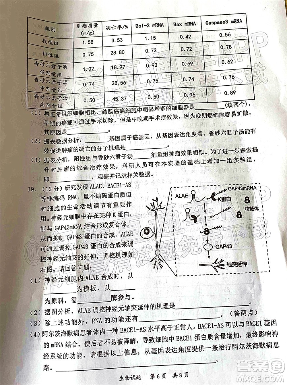 惠州市2022屆高三第二次調(diào)研考試生物試題及答案