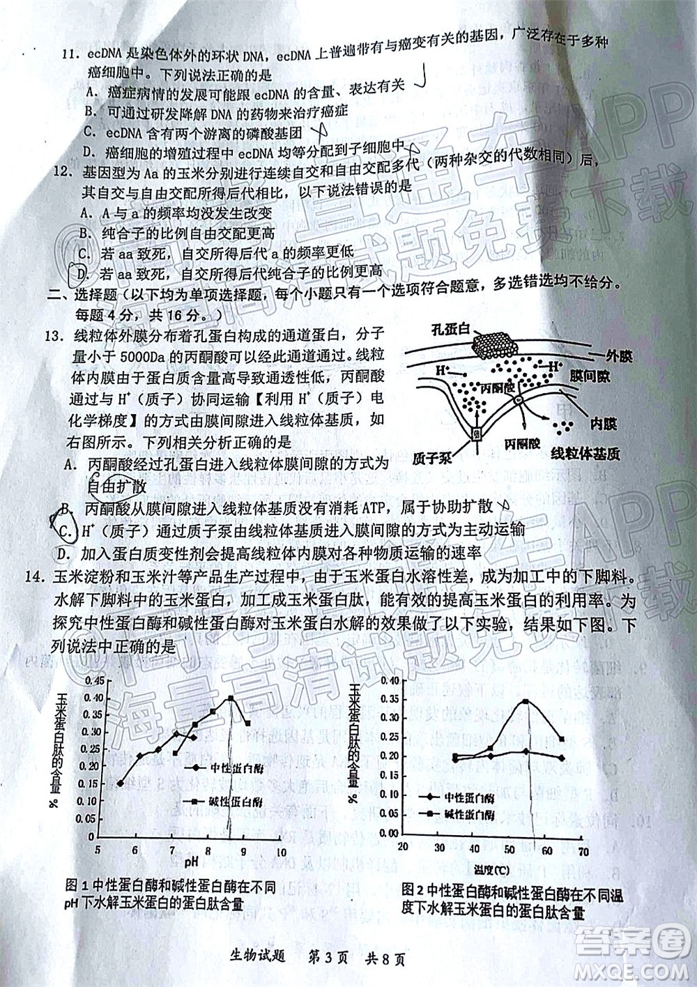 惠州市2022屆高三第二次調(diào)研考試生物試題及答案