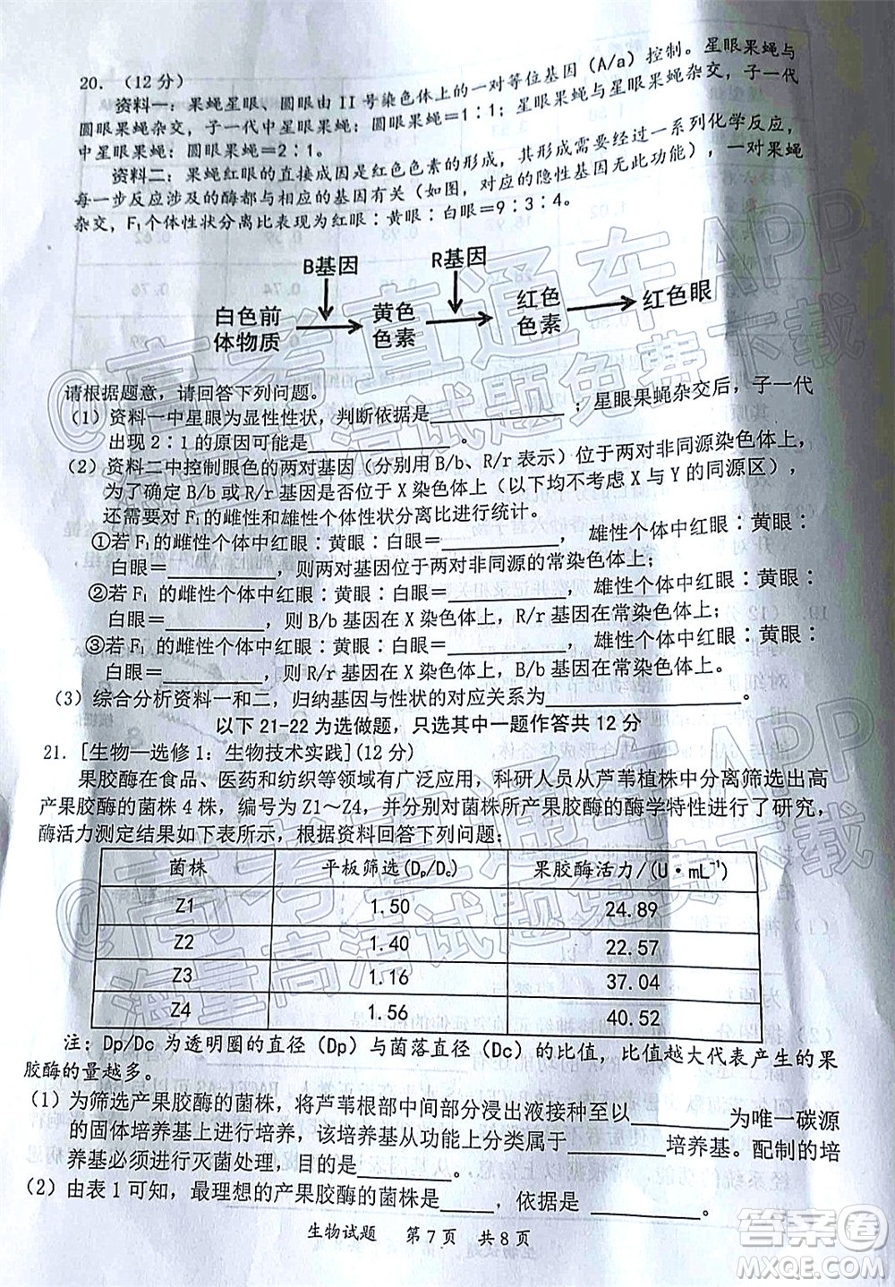 惠州市2022屆高三第二次調(diào)研考試生物試題及答案