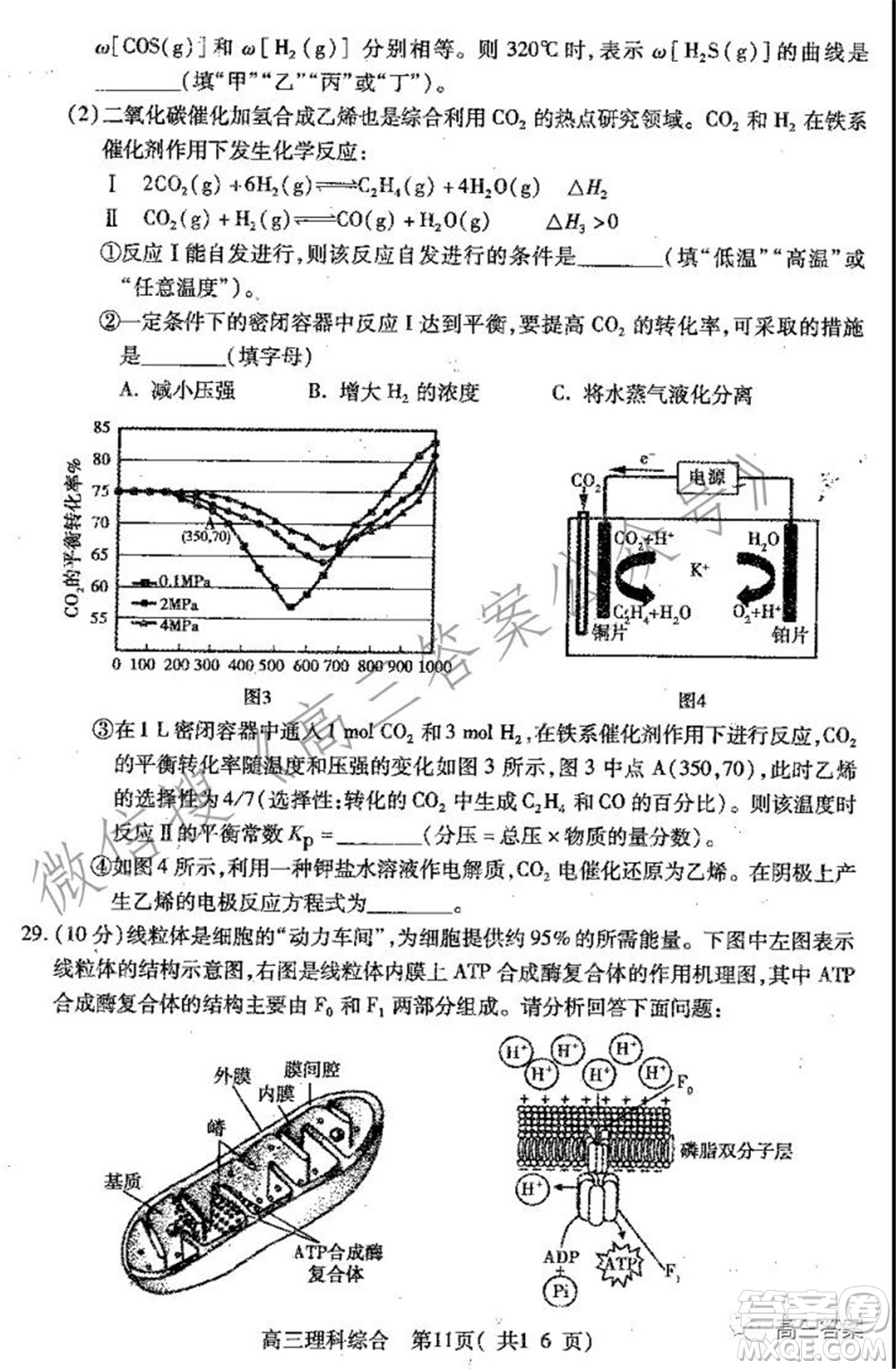 平頂山2022屆高三年級(jí)階段性檢測(cè)理科綜合試題及答案