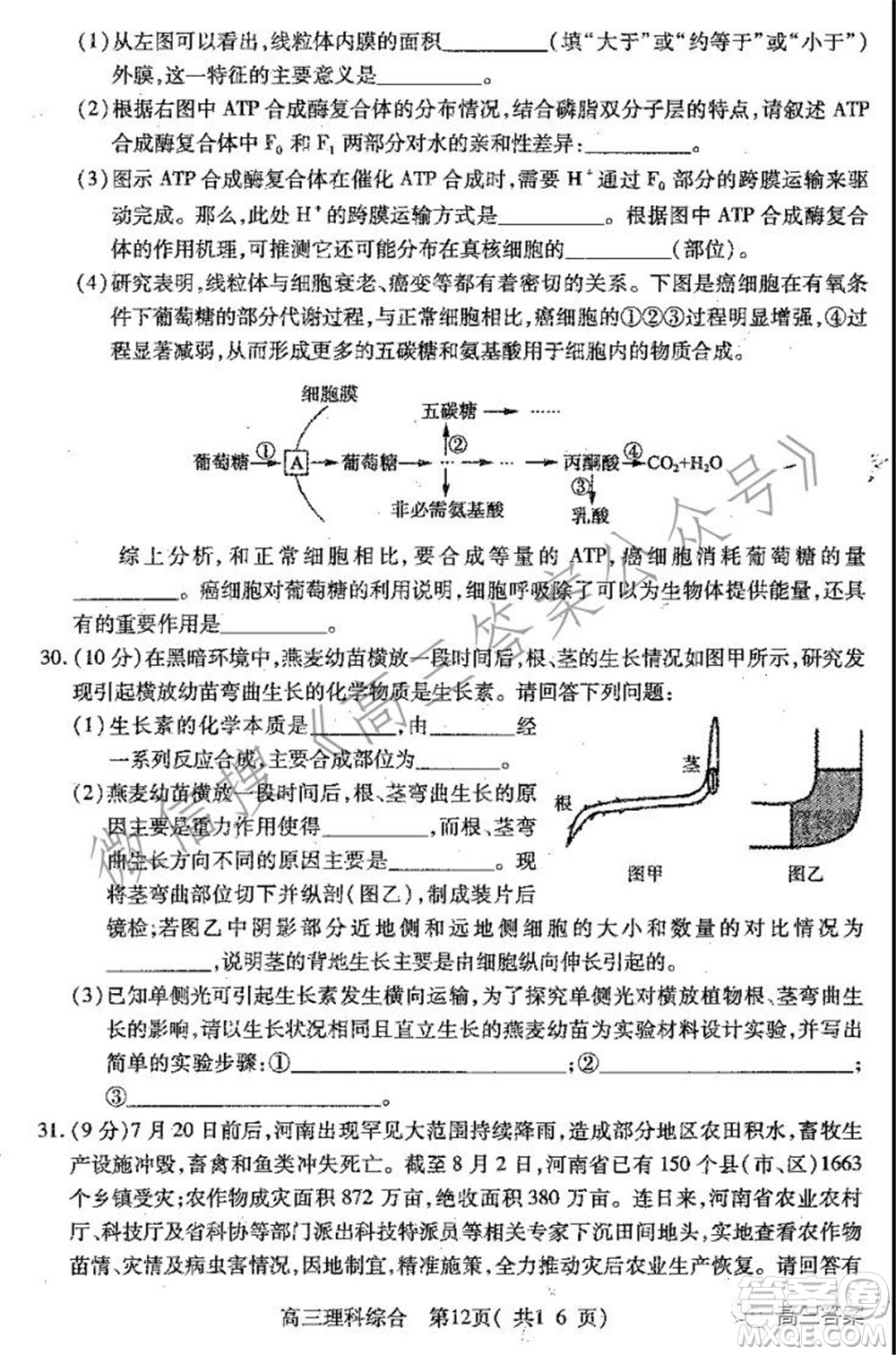 平頂山2022屆高三年級(jí)階段性檢測(cè)理科綜合試題及答案