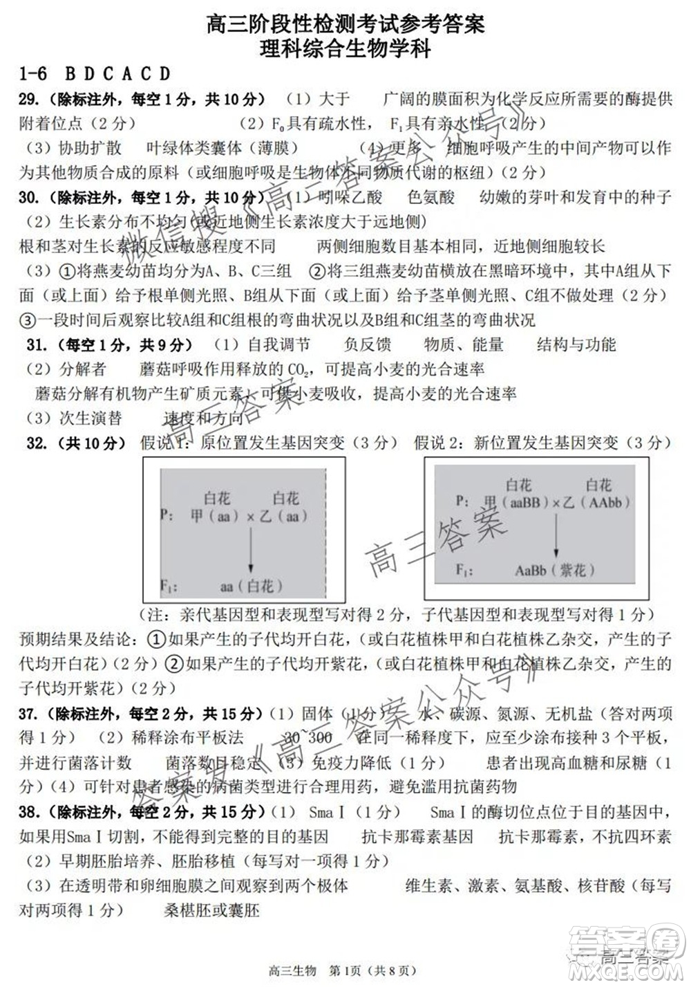 平頂山2022屆高三年級(jí)階段性檢測(cè)理科綜合試題及答案