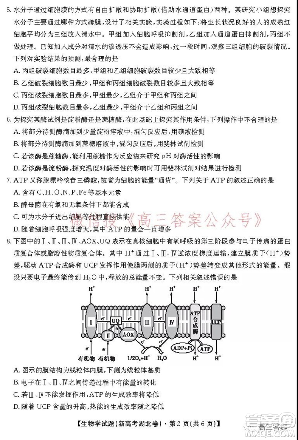 名校教研聯(lián)盟2021年10月高三聯(lián)考生物學(xué)試題及答案