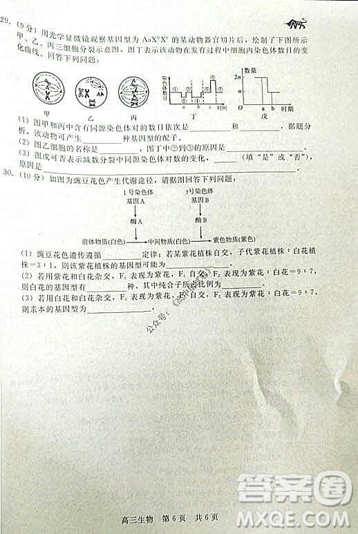 陜西十校聯(lián)考2021-2022學(xué)年第一學(xué)期高三階段測試卷生物全國卷試題及答案