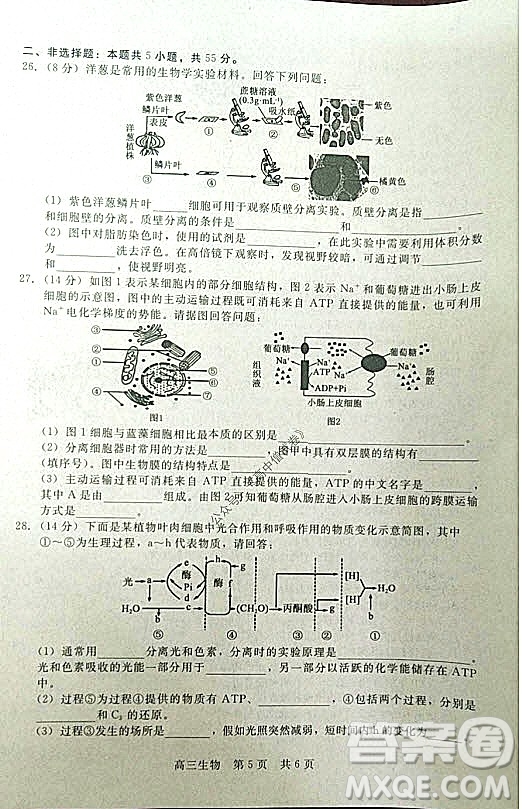 陜西十校聯(lián)考2021-2022學(xué)年第一學(xué)期高三階段測試卷生物全國卷試題及答案