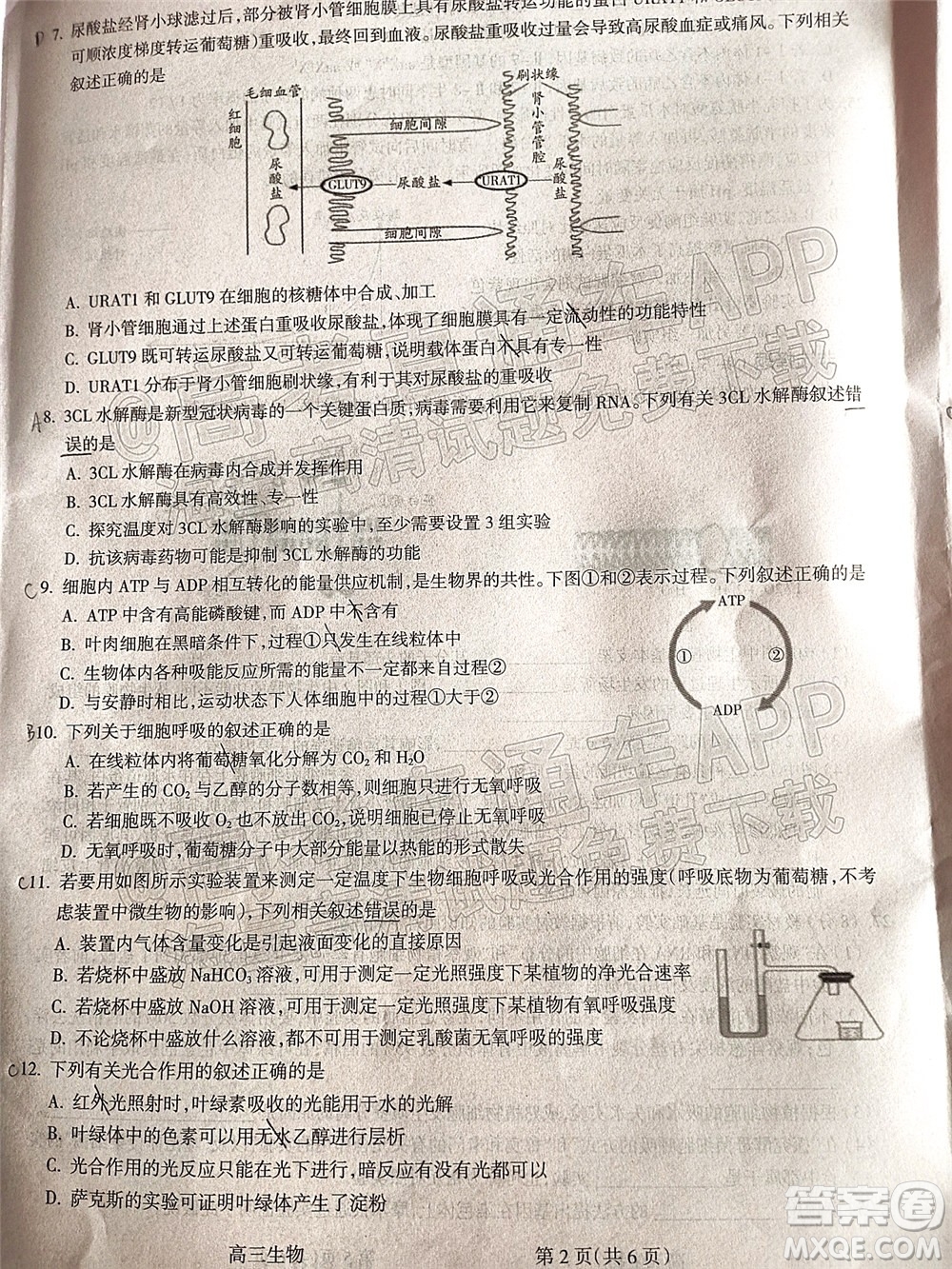 呂梁市2021年11月高三階段性測試生物試題及答案