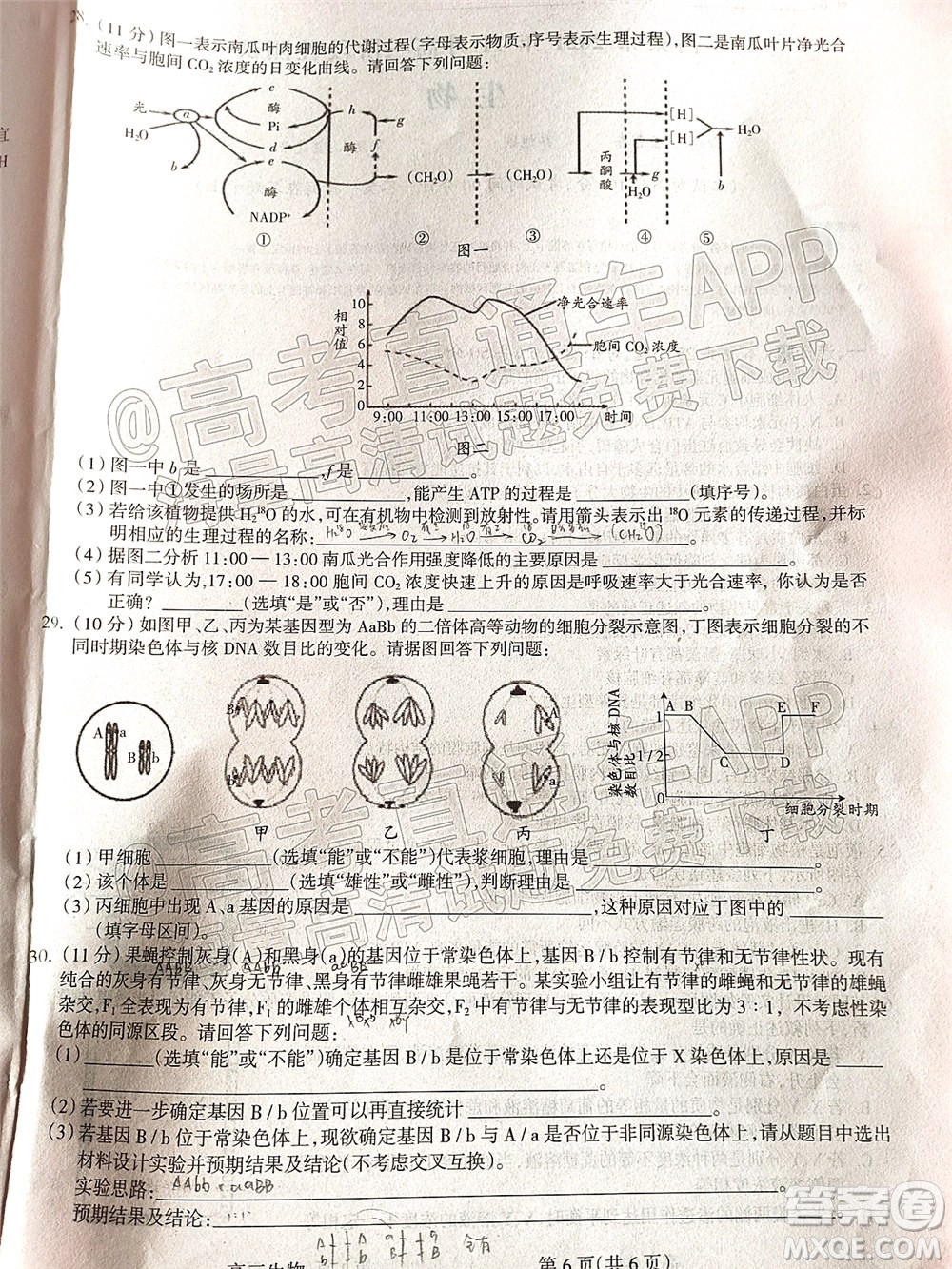 呂梁市2021年11月高三階段性測試生物試題及答案