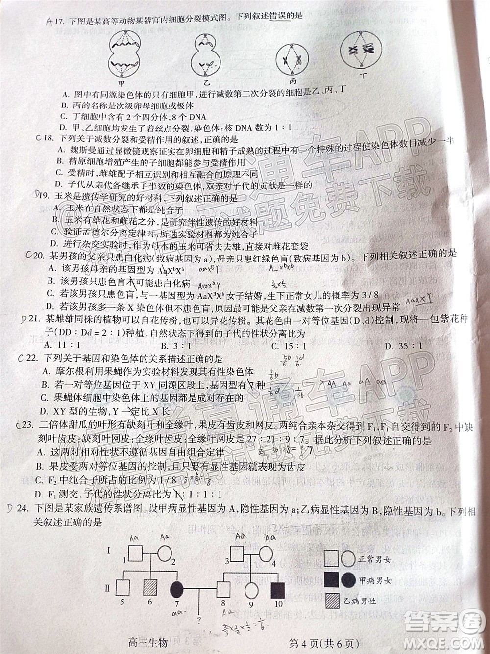 呂梁市2021年11月高三階段性測試生物試題及答案