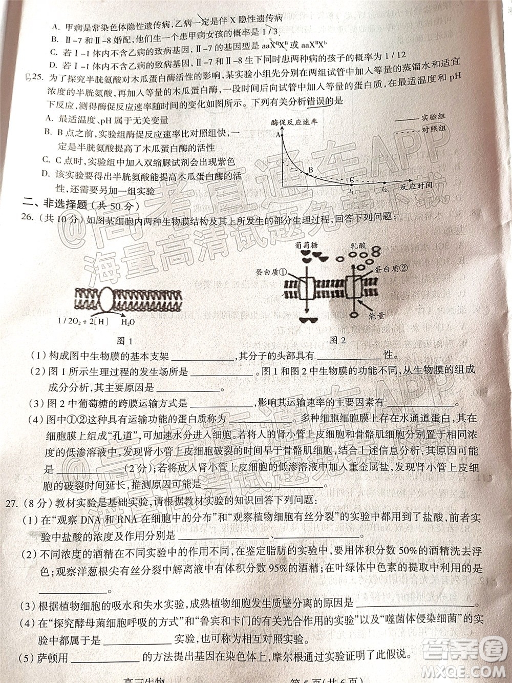 呂梁市2021年11月高三階段性測試生物試題及答案