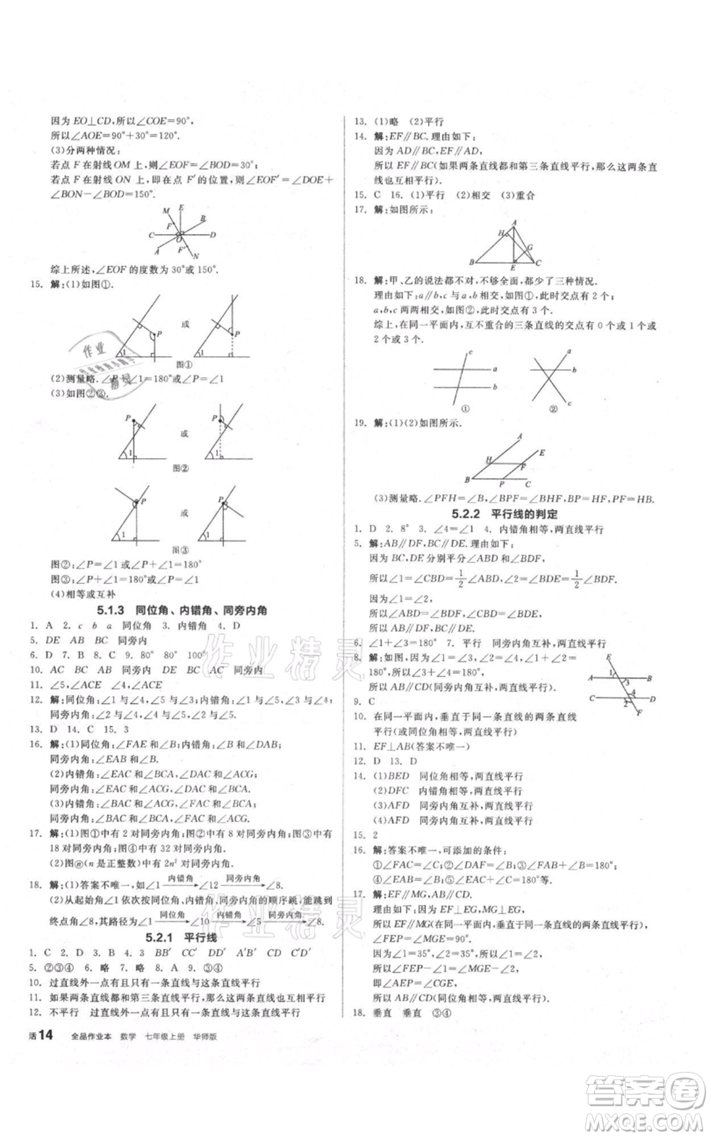 陽光出版社2021全品作業(yè)本七年級上冊數(shù)學華師大版參考答案