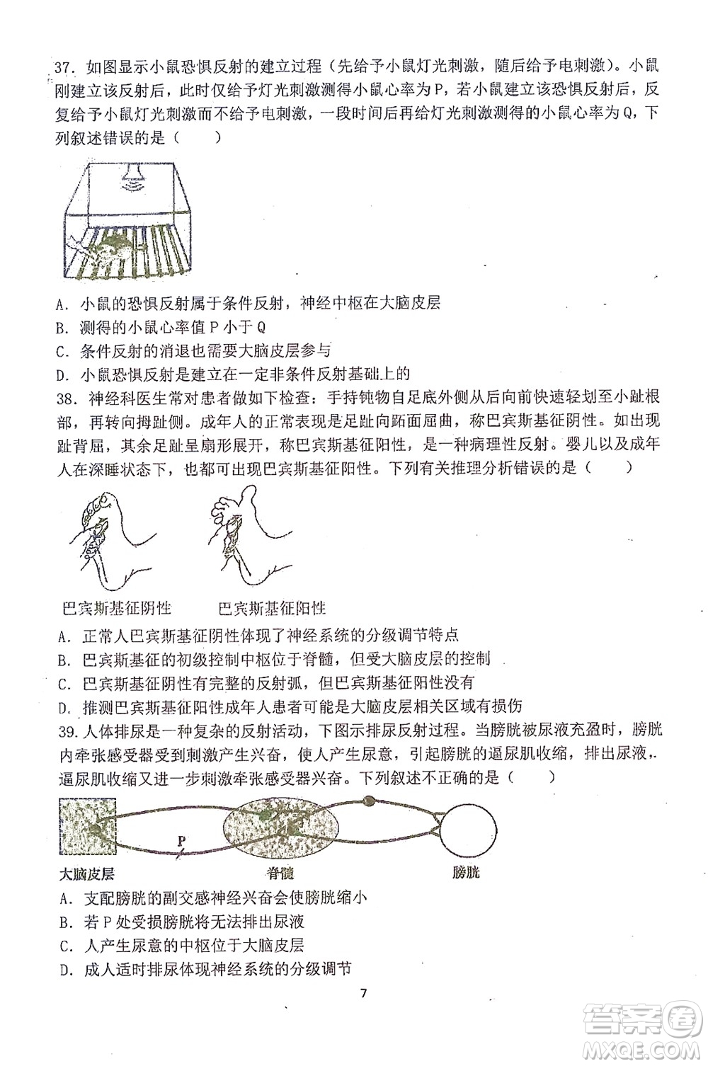 哈三中2021-2022學(xué)年度上學(xué)期高二學(xué)年10月階段性測試生物試卷及答案