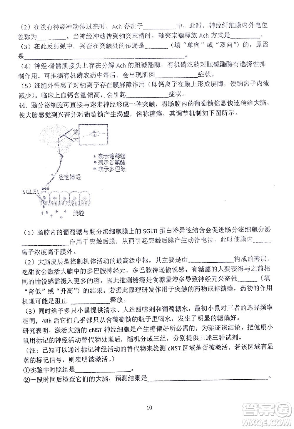 哈三中2021-2022學(xué)年度上學(xué)期高二學(xué)年10月階段性測試生物試卷及答案