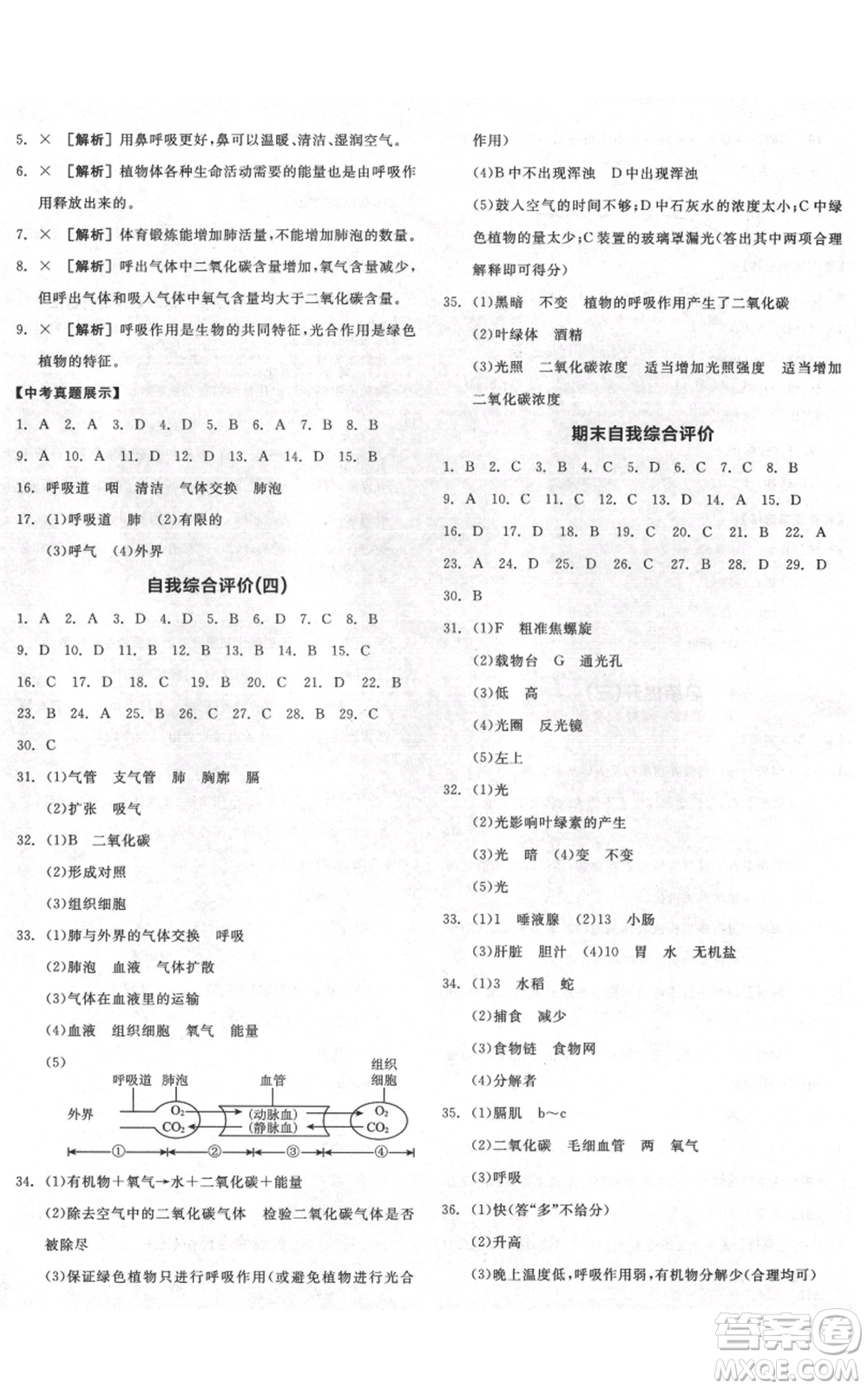 沈陽(yáng)出版社2021全品作業(yè)本七年級(jí)上冊(cè)生物蘇科版徐州專(zhuān)版參考答案