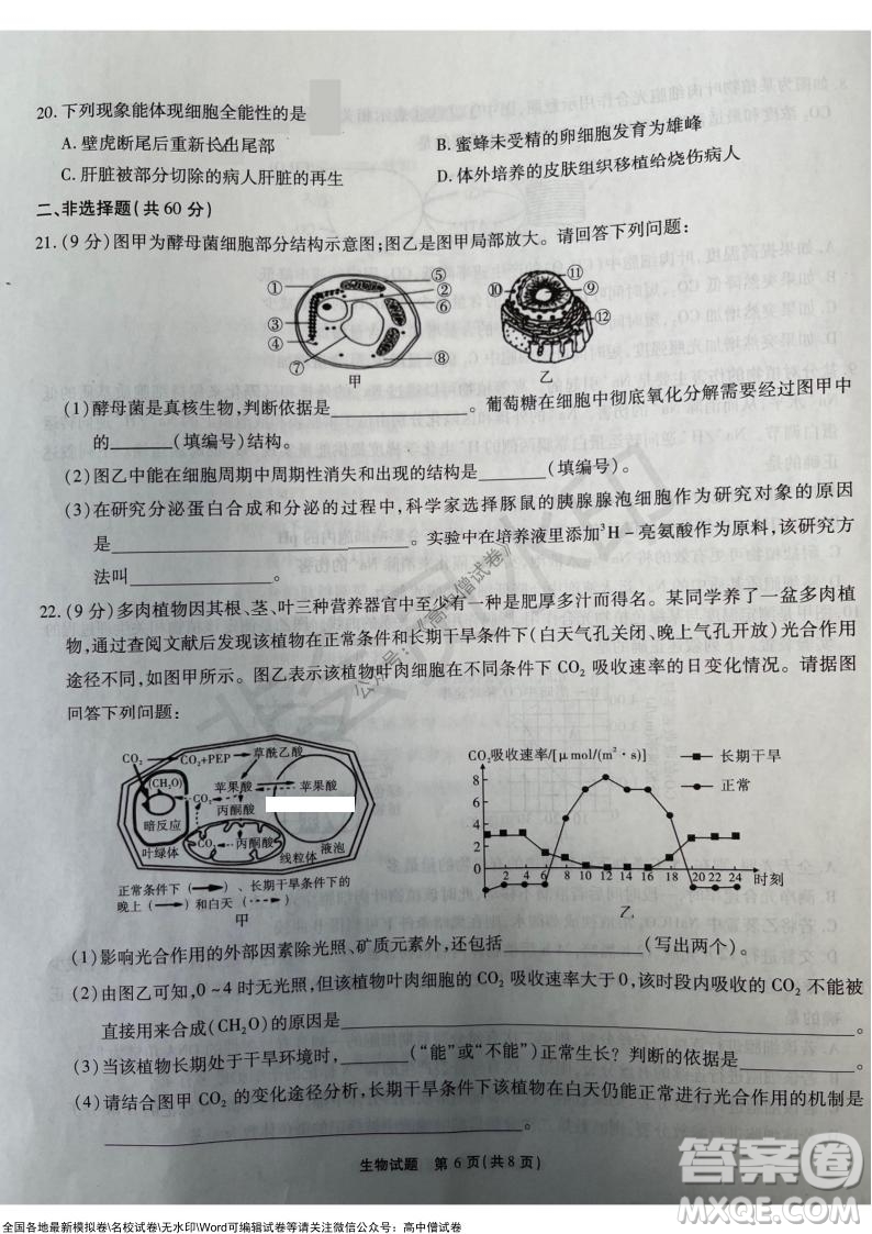 重慶市高2022屆高三第三次質量檢測生物試題及答案