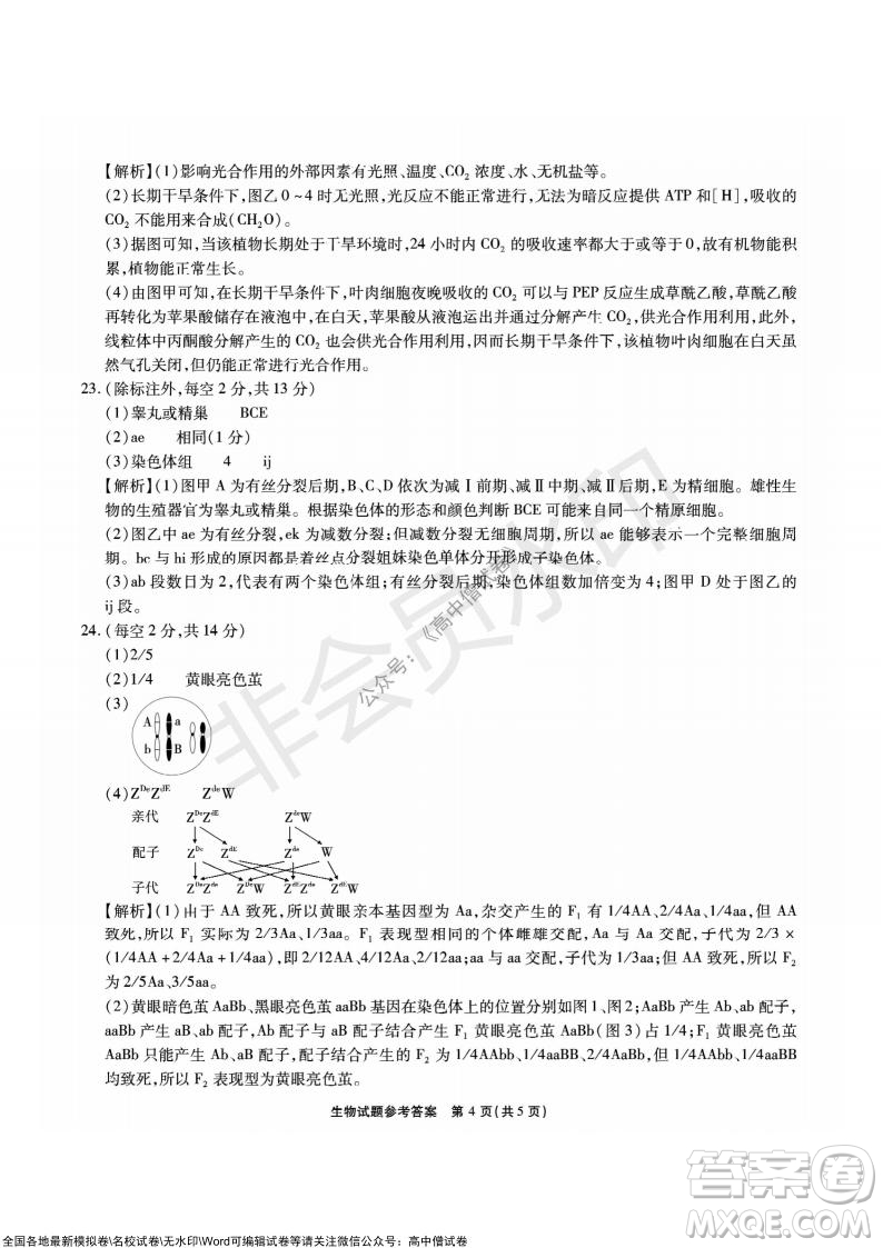 重慶市高2022屆高三第三次質量檢測生物試題及答案