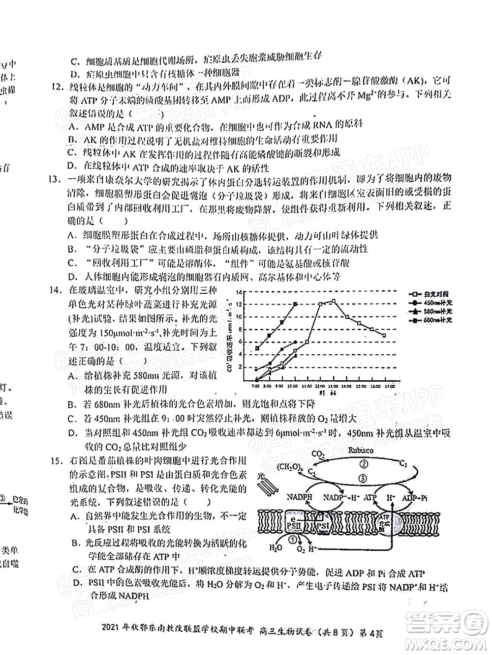 2021年秋季鄂東南省級示范高中教育教學改革聯(lián)盟學校期中聯(lián)考高三生物試題及答案