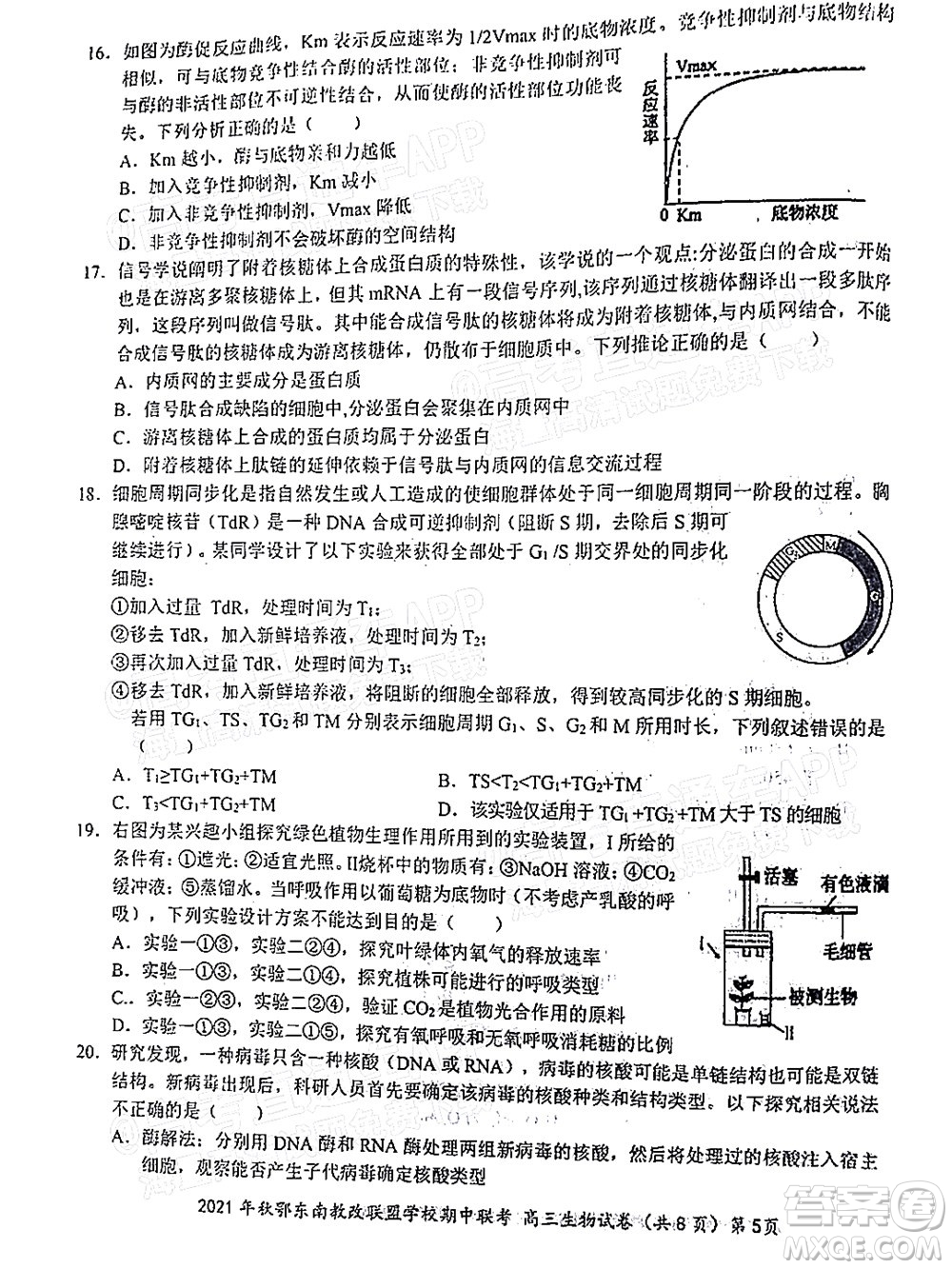 2021年秋季鄂東南省級示范高中教育教學改革聯(lián)盟學校期中聯(lián)考高三生物試題及答案