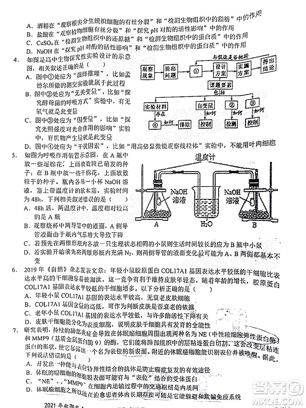 2021年秋季鄂東南省級示范高中教育教學改革聯(lián)盟學校期中聯(lián)考高三生物試題及答案