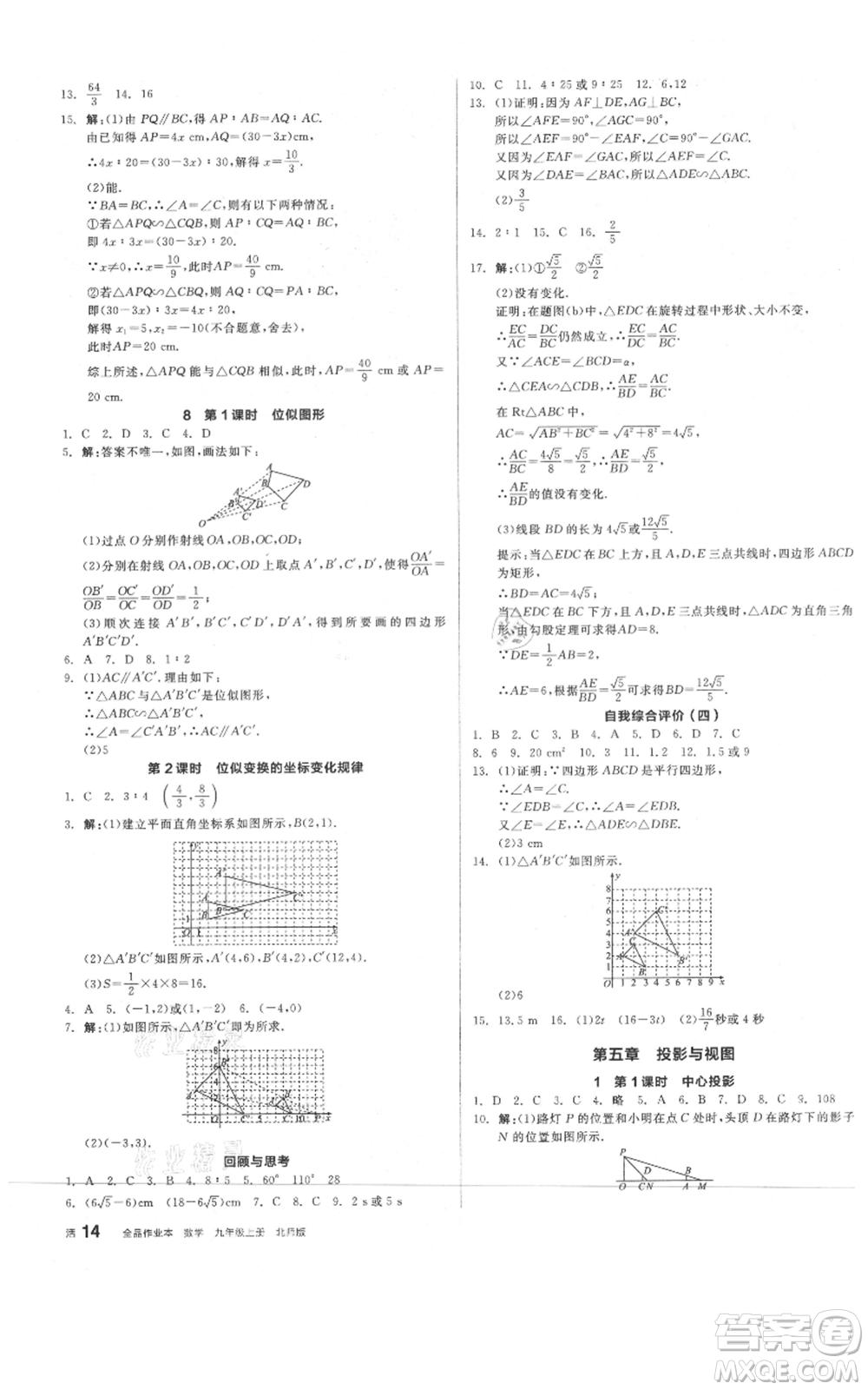 陽(yáng)光出版社2021全品作業(yè)本九年級(jí)上冊(cè)數(shù)學(xué)北師大版參考答案