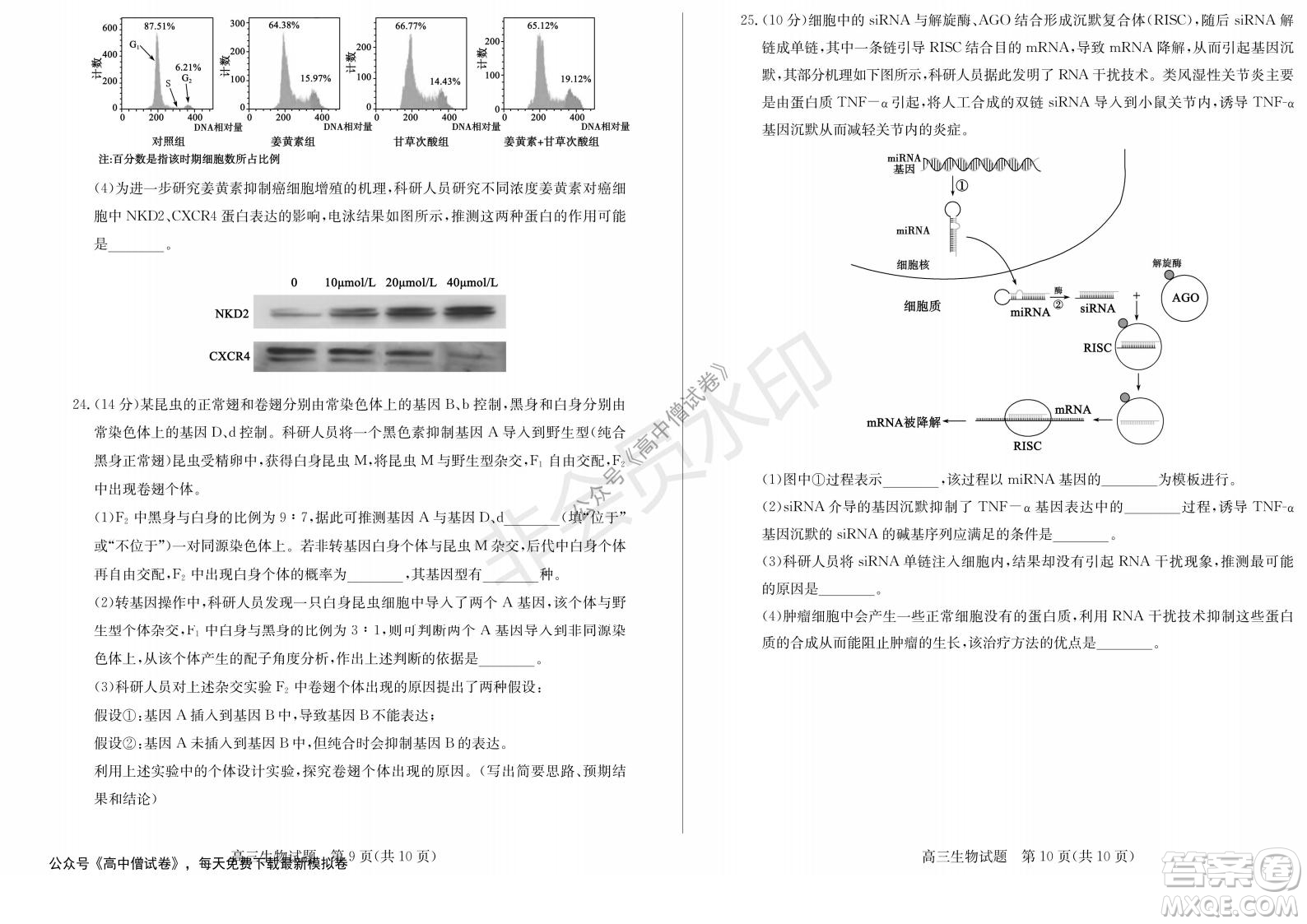 山東省德州市2021-2022學(xué)年高三上學(xué)期期中考試生物試題及答案