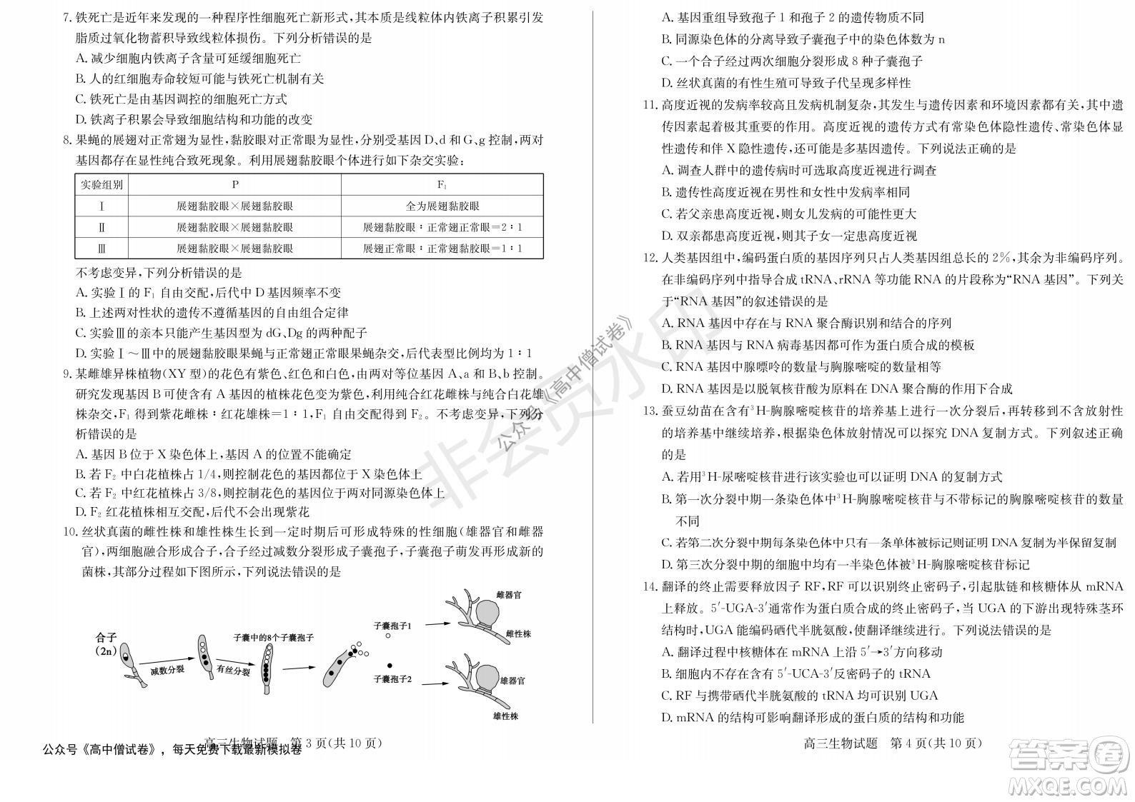 山東省德州市2021-2022學(xué)年高三上學(xué)期期中考試生物試題及答案