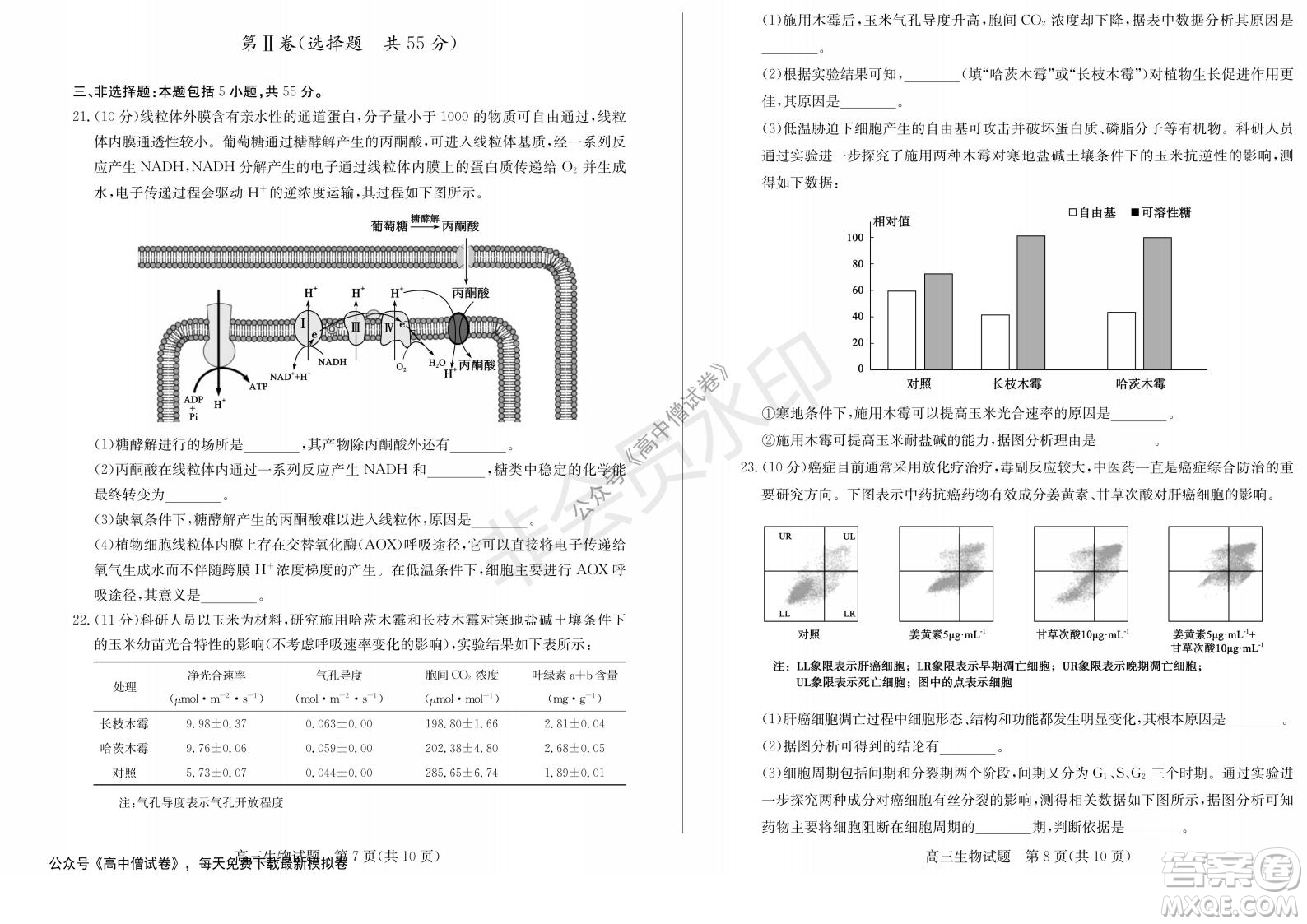 山東省德州市2021-2022學(xué)年高三上學(xué)期期中考試生物試題及答案