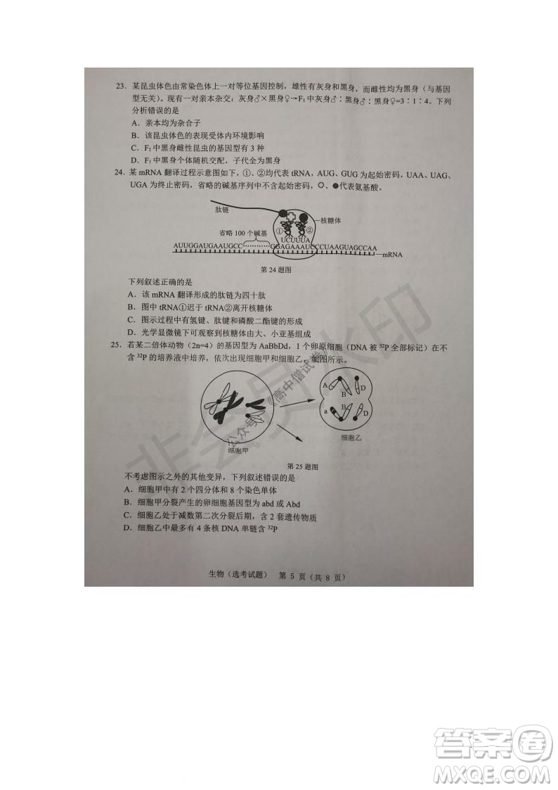 2021年11月溫州市普通高中選考適應(yīng)性測(cè)試高三生物試題參考答案